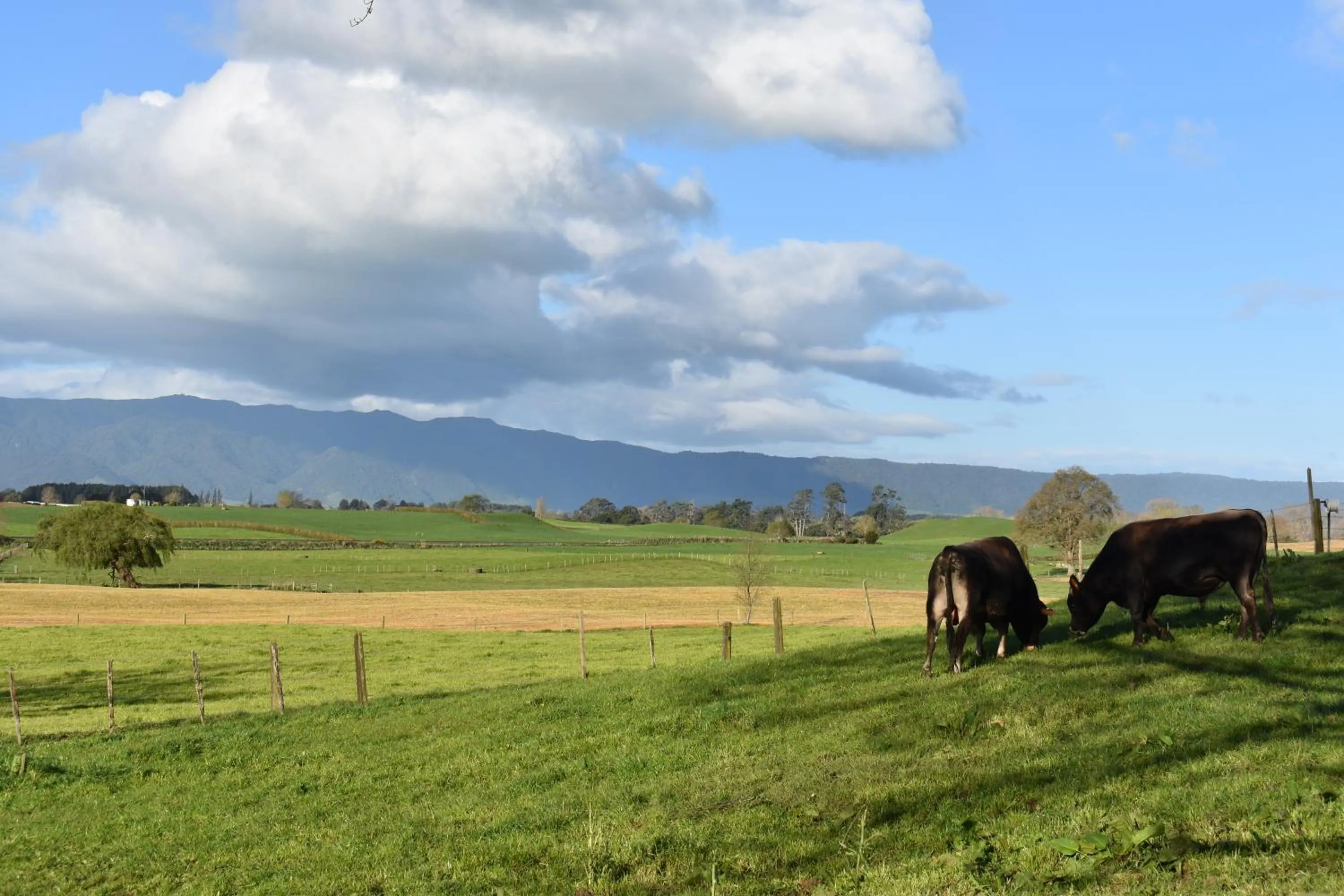 Neighbourhood in Villa Walton