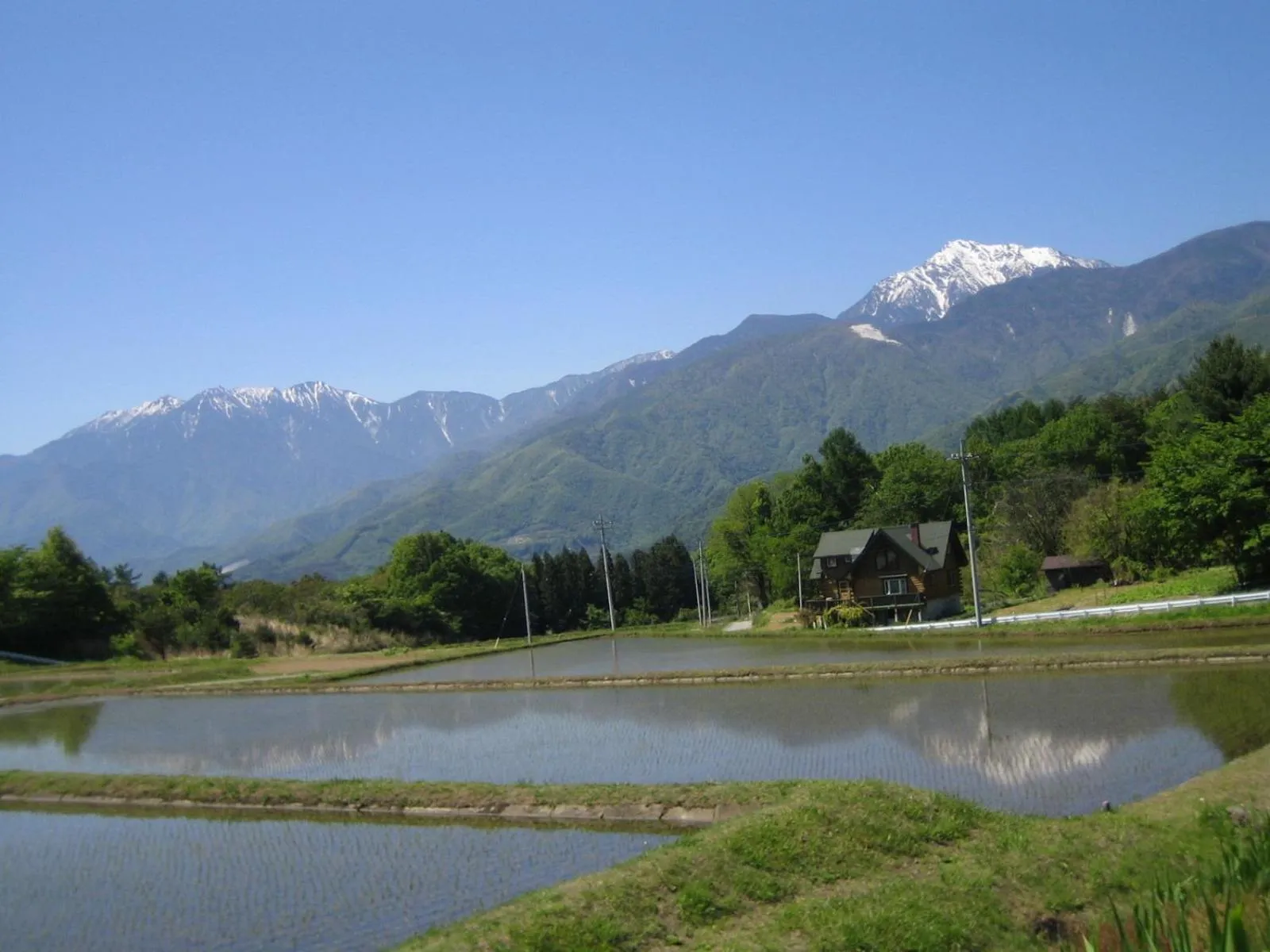 Natural landscape in Pension Field