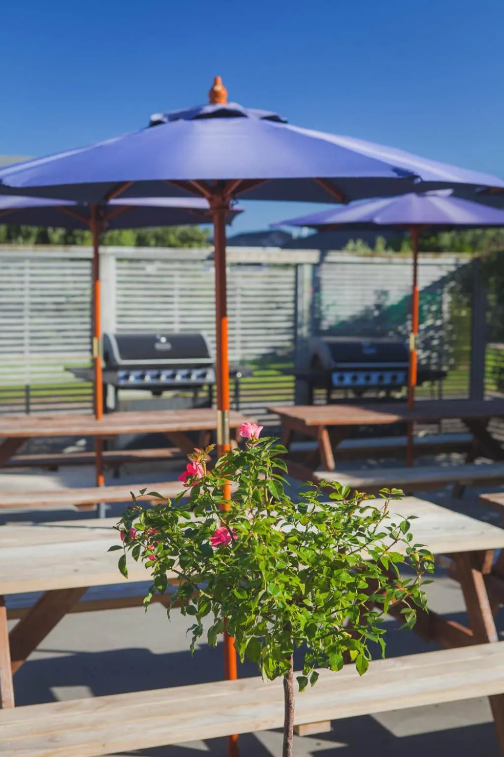BBQ facilities in Pacific Park Christian Holiday Camp