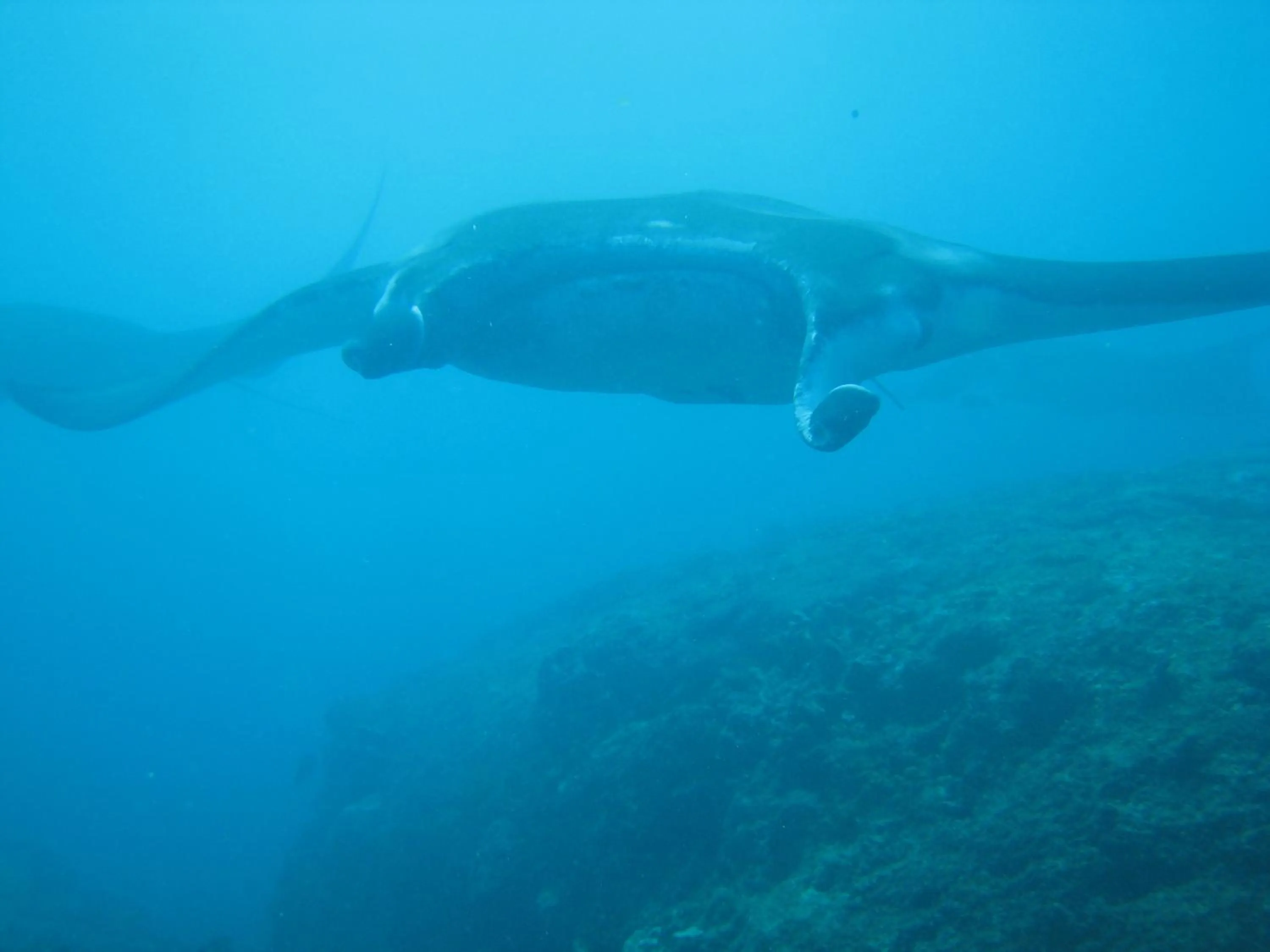 Staff in Kawans Inn Lembongan