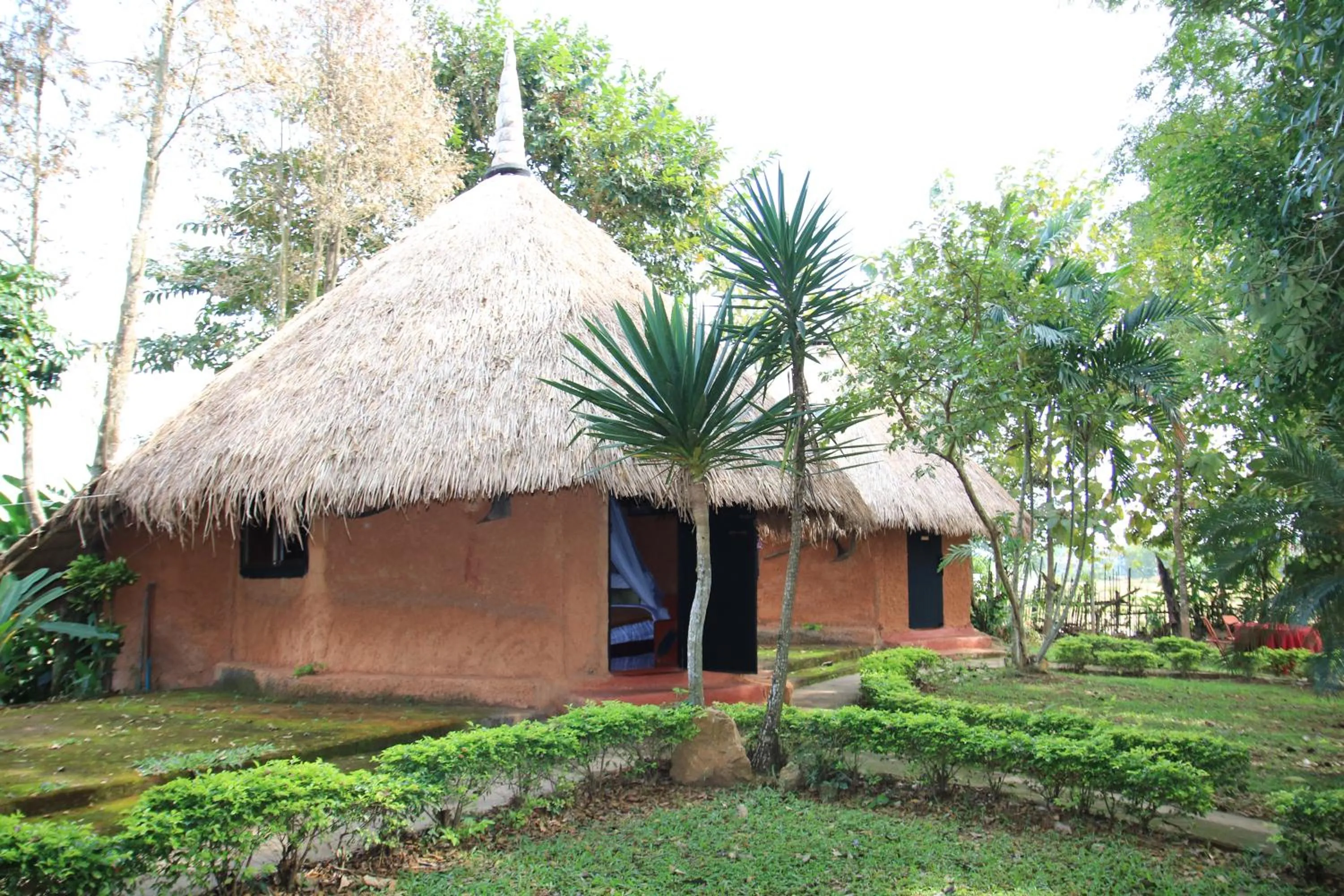 Ban Din Resort Chiang Rai