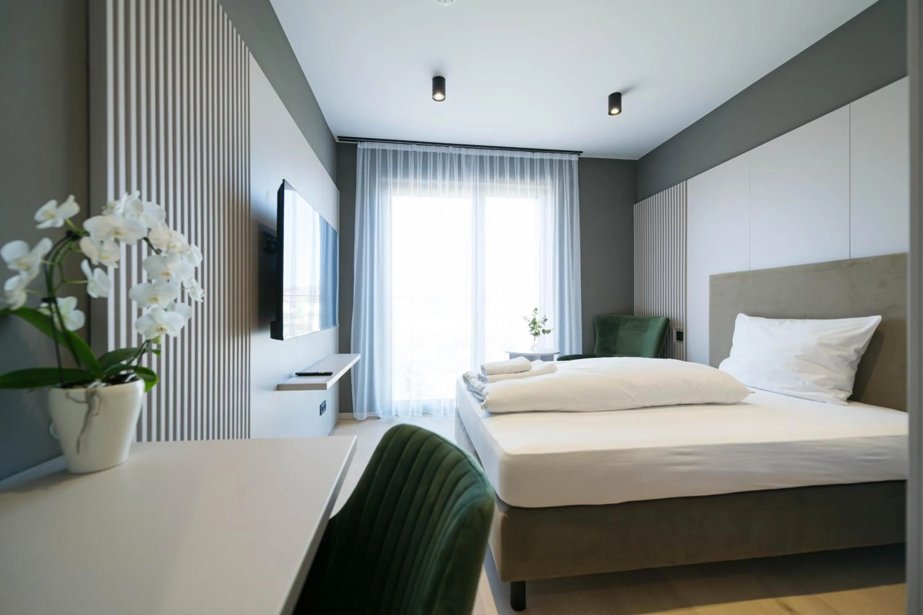 Double Room - single occupancy in Taunus Suites