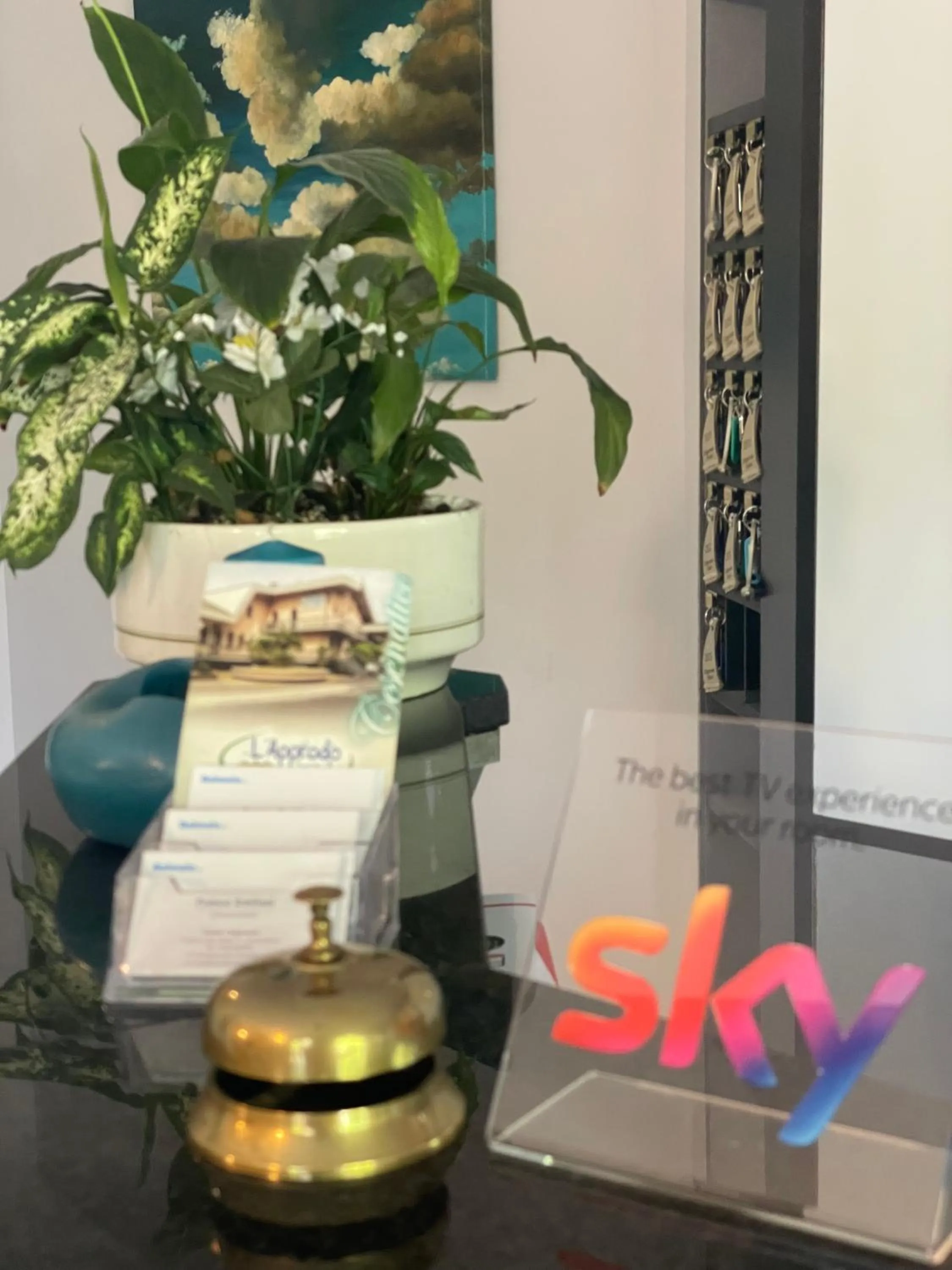 TV and multimedia in Hotel L'Approdo