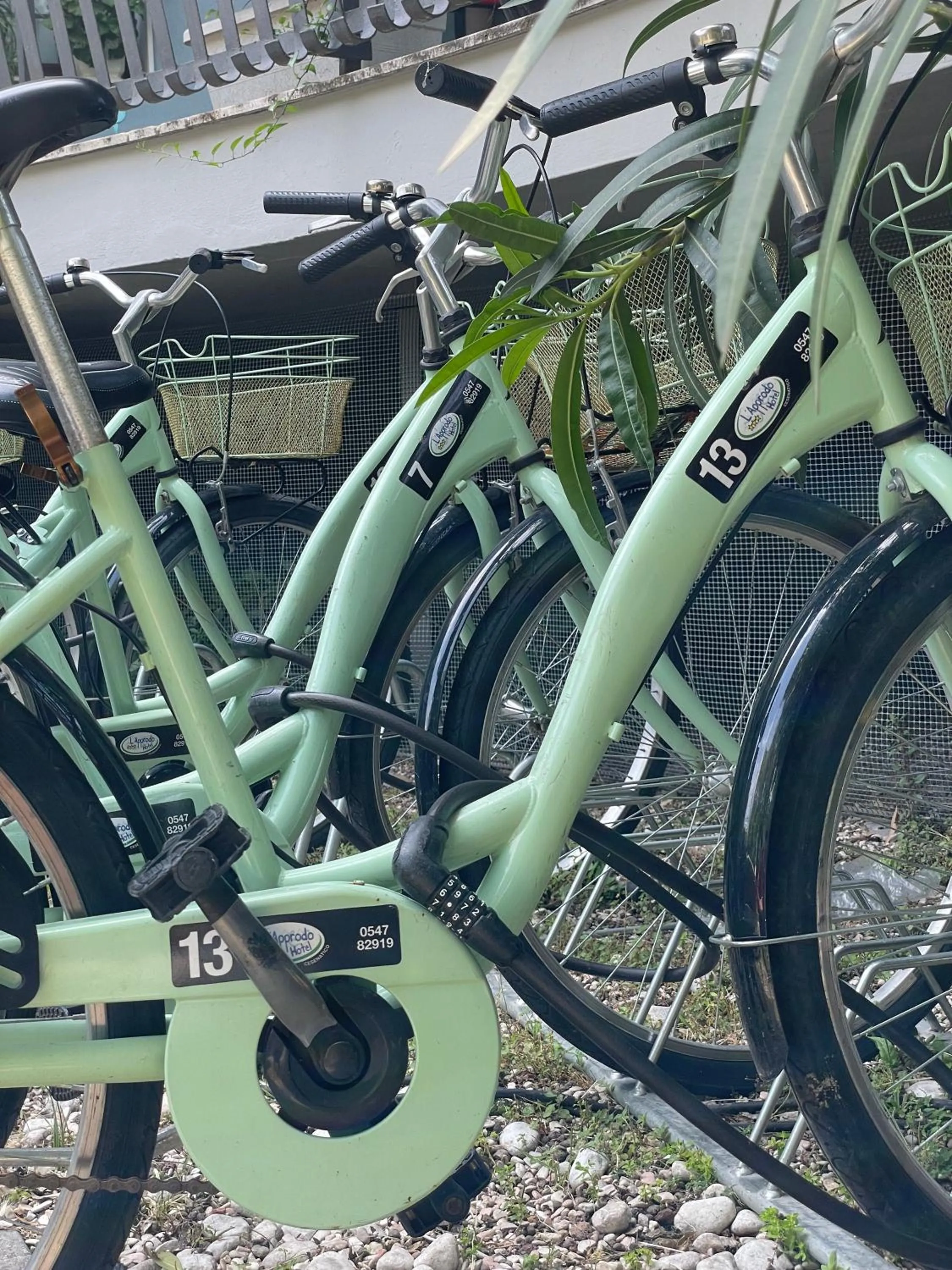 Cycling in Hotel L'Approdo
