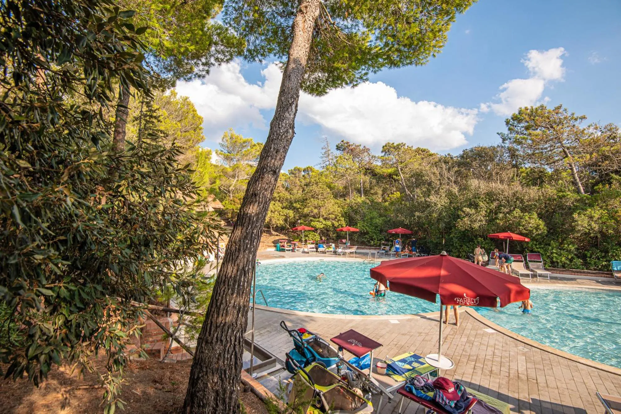 Pool view in Paradù EcoVillage & Resort