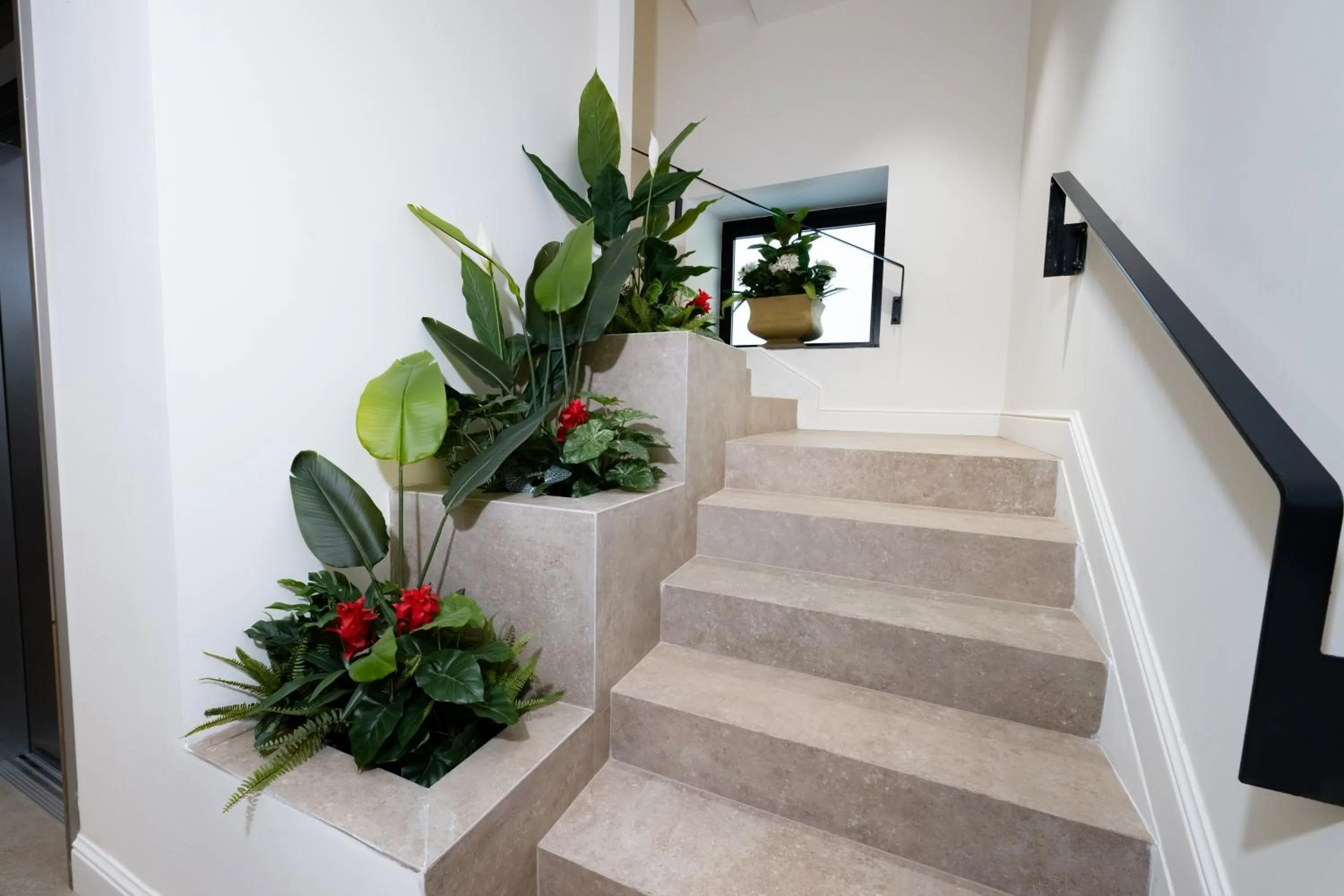 Summer in Casa D Hotel Napoli