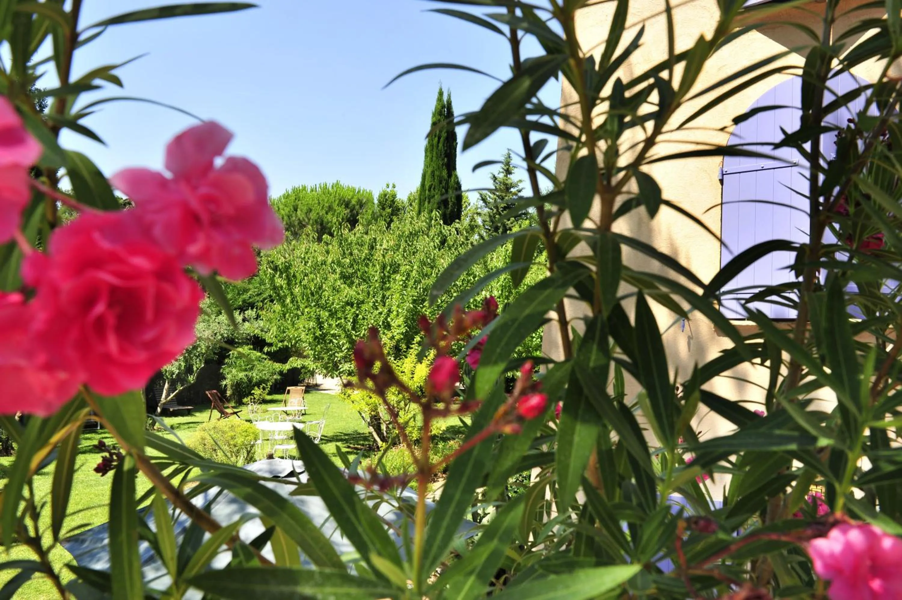 Day in Le Mazet des Mûres