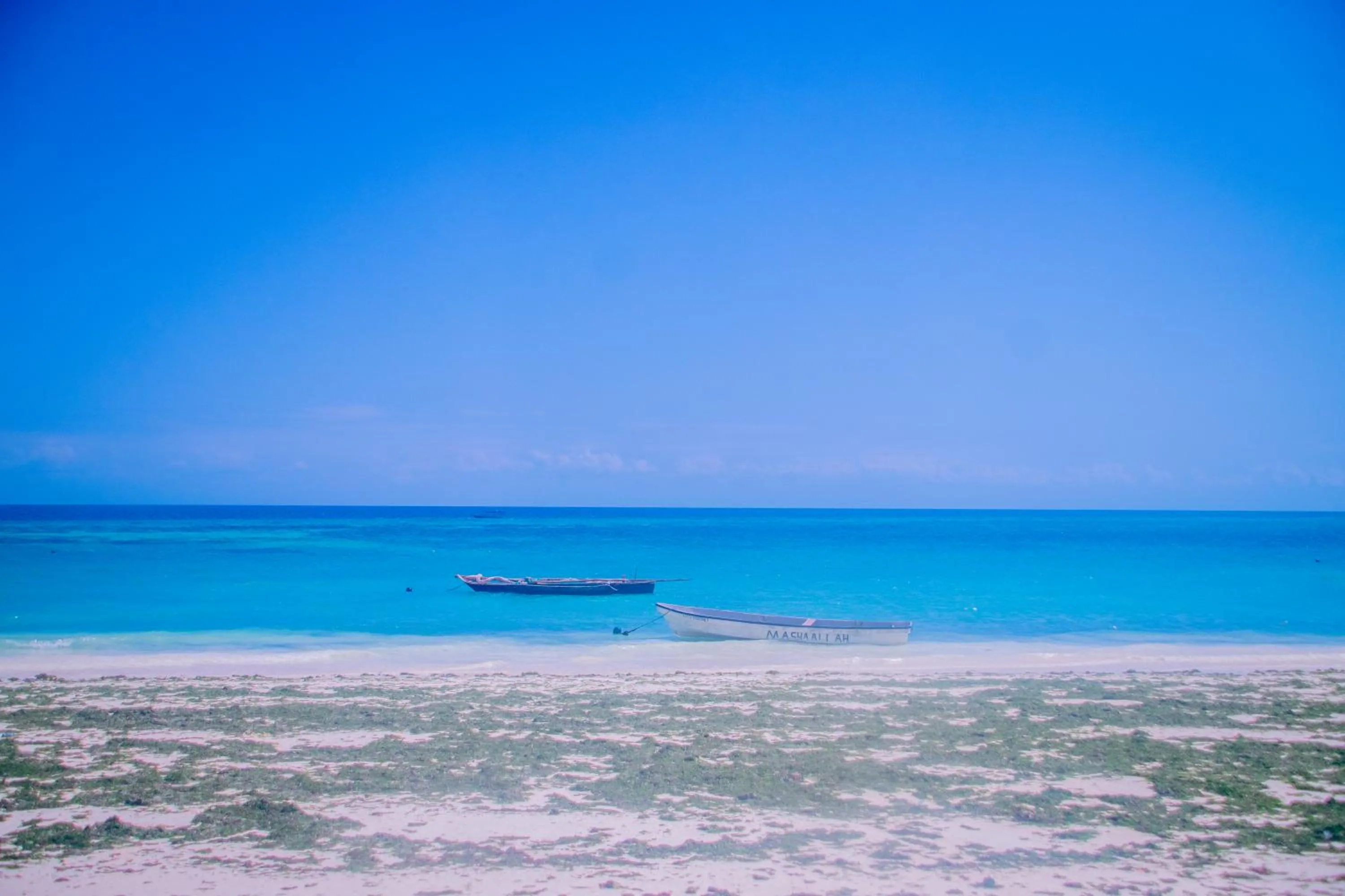 Natural landscape in Amazing Beach Hotel Zanzibar