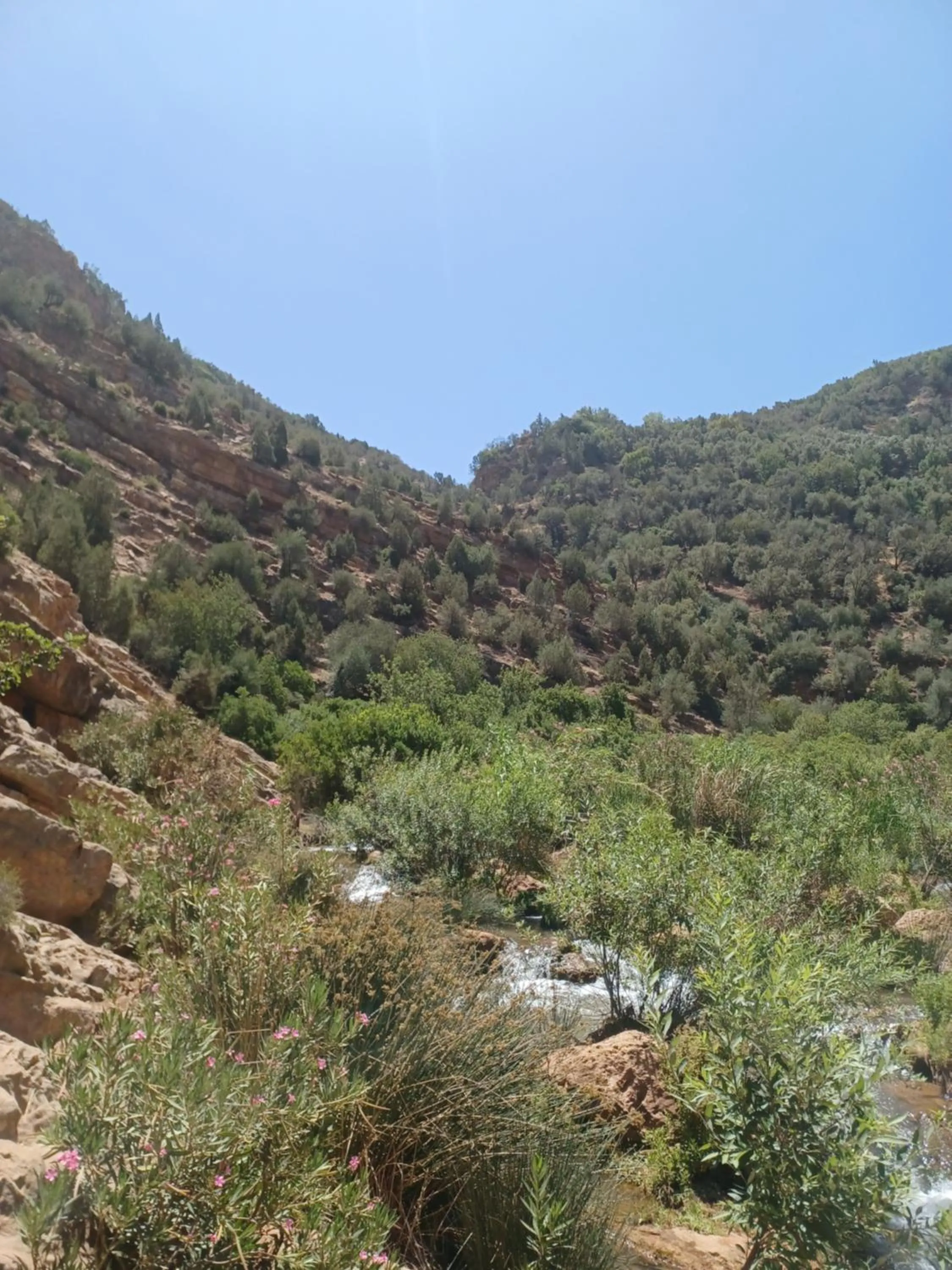 Maison d´hôtes Amazir