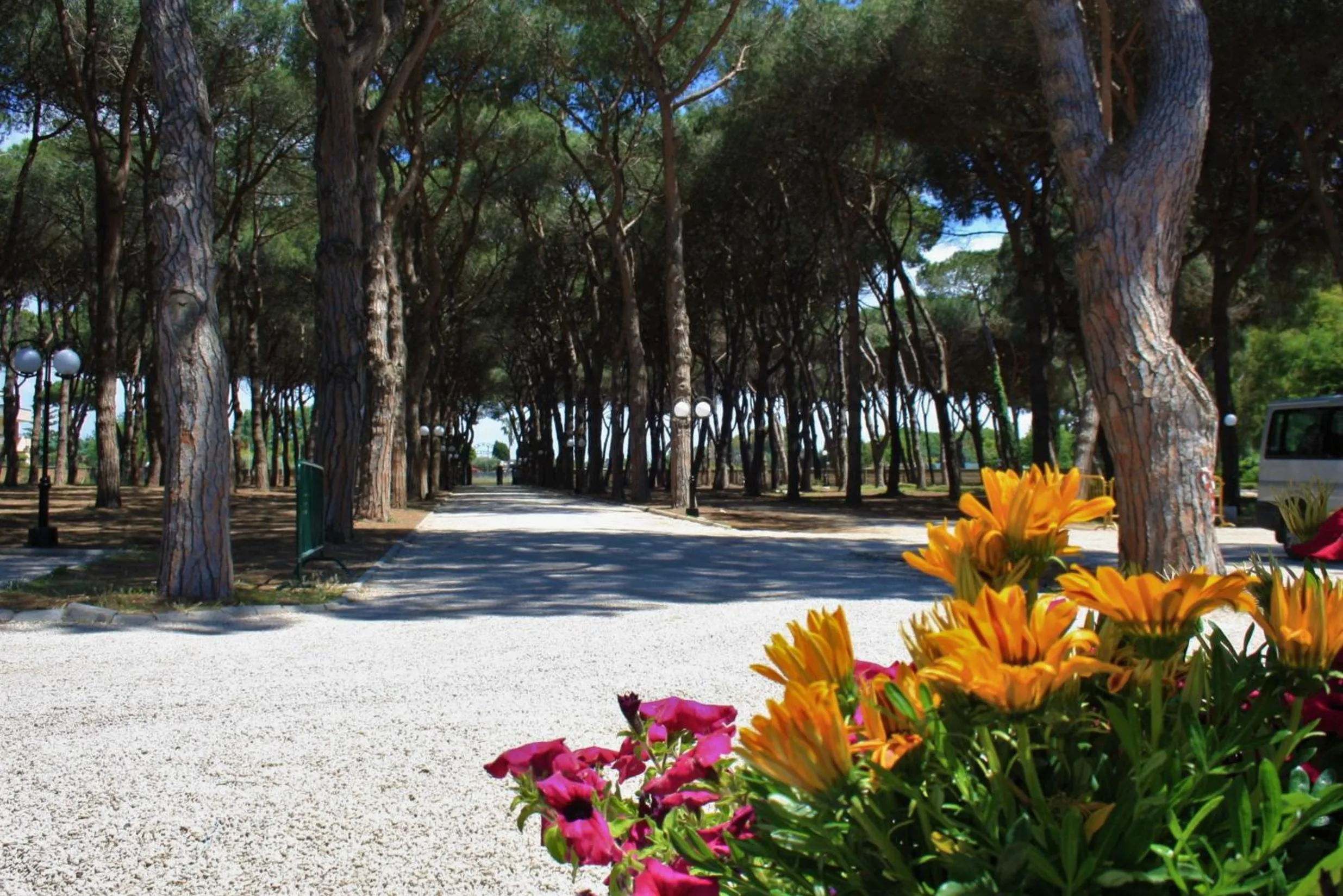 La Pineta Dei Liberti