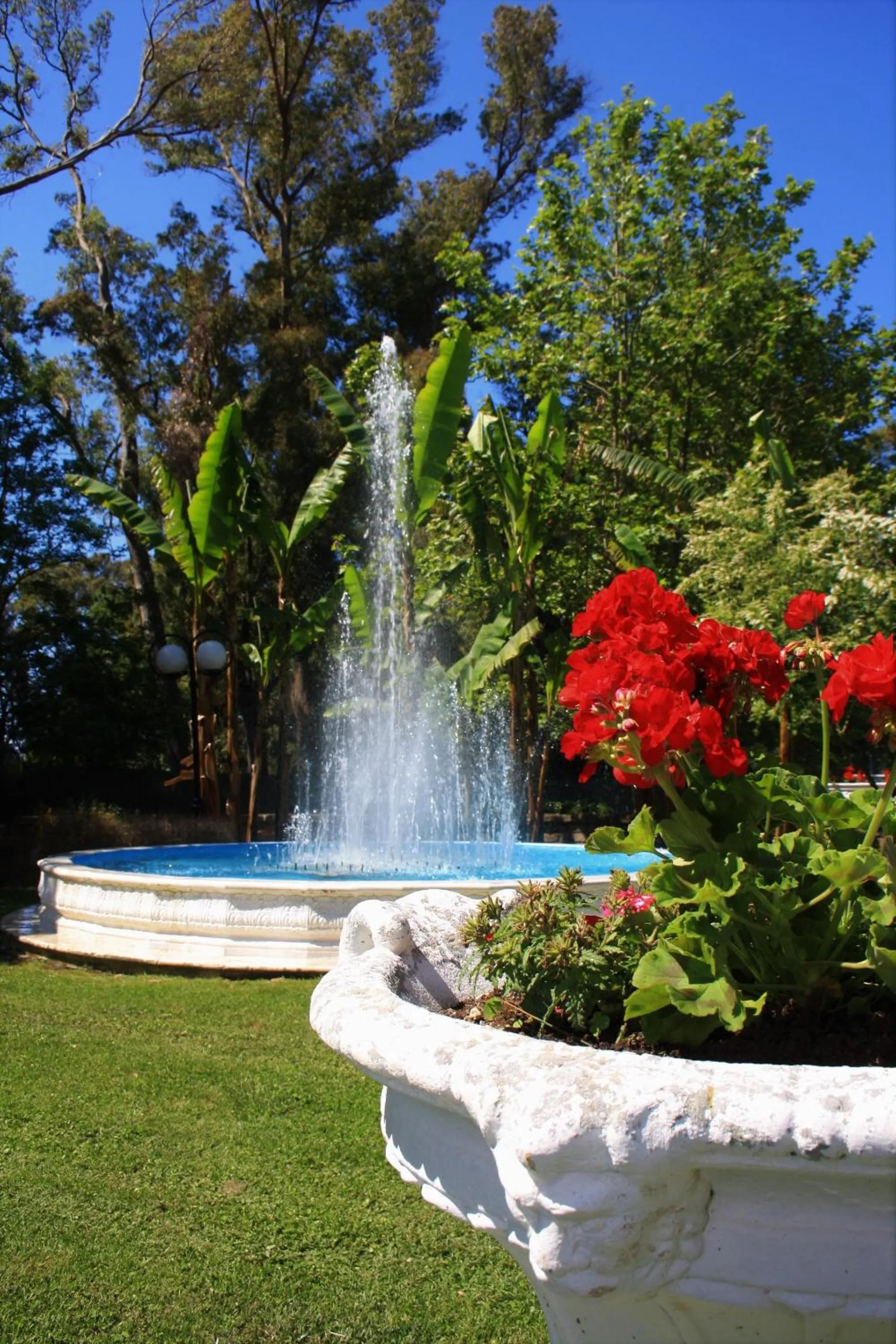 La Pineta Dei Liberti