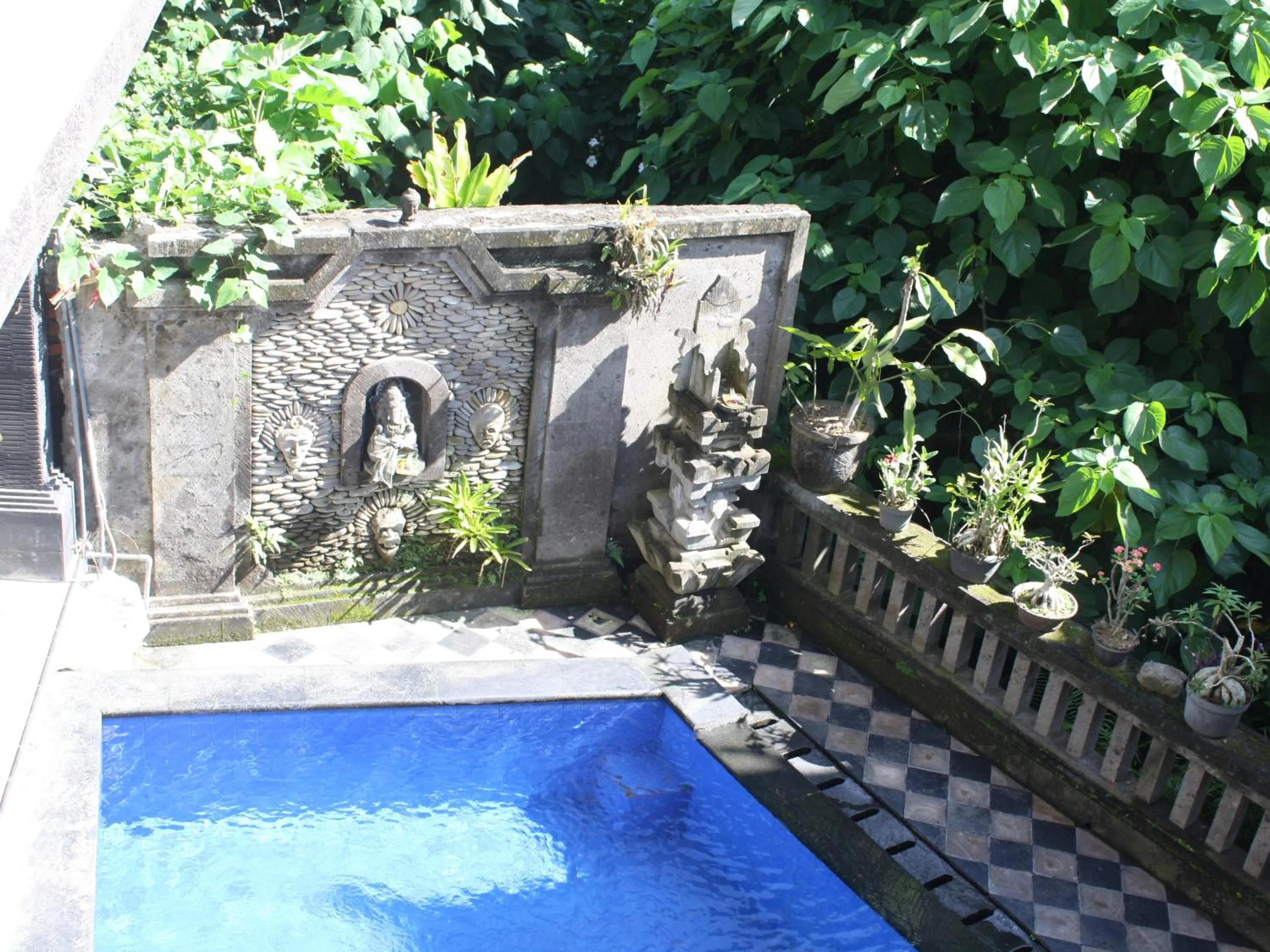 Swimming pool in Raka House Accommodation
