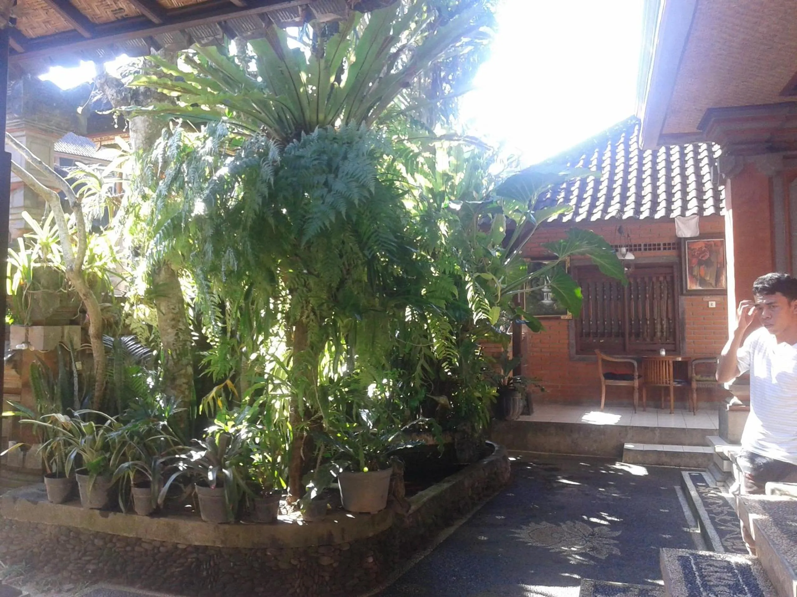 Day in Raka House Accommodation