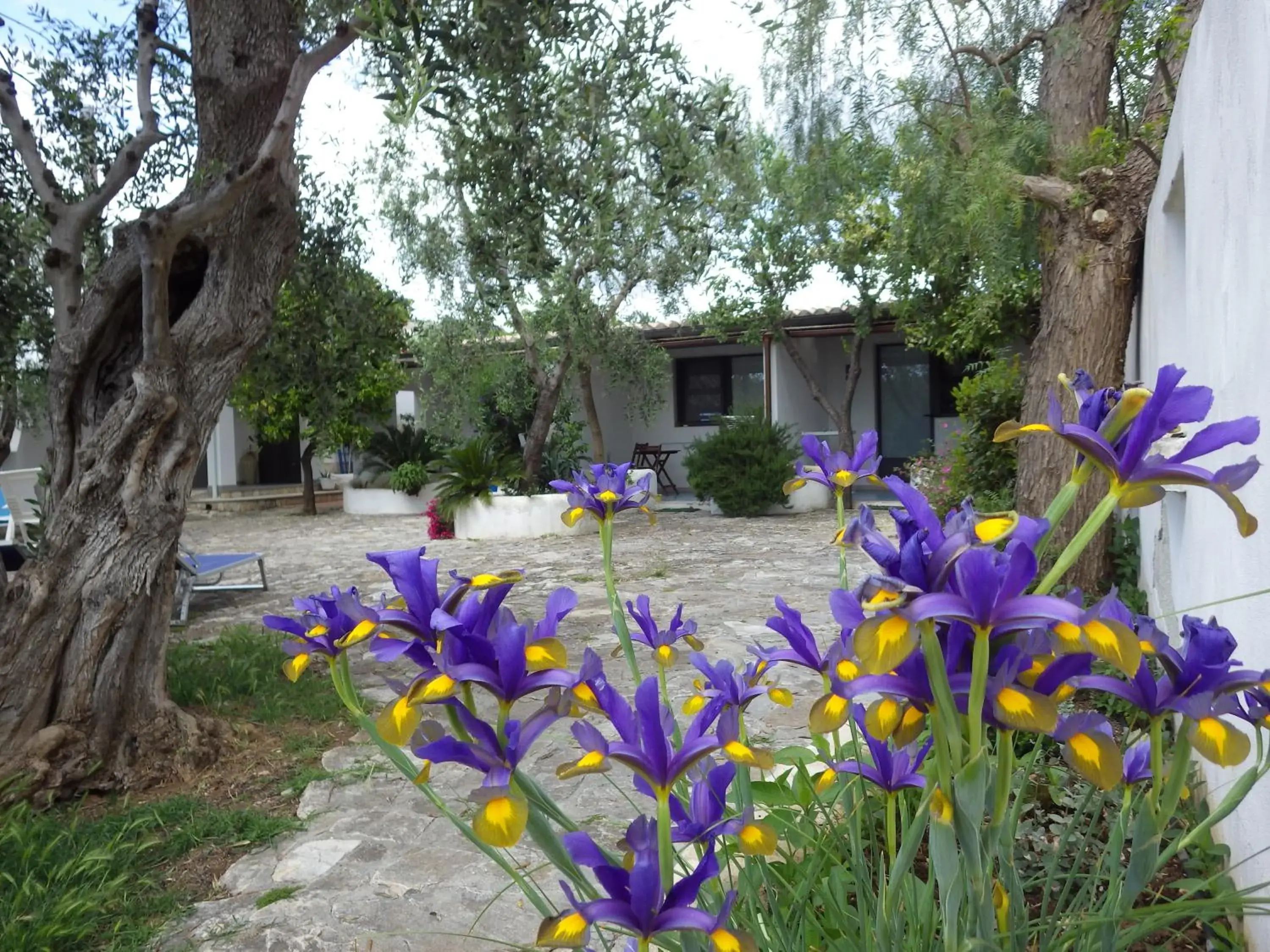 B&B Masseria Liberatore B&B Masseria Liberatore