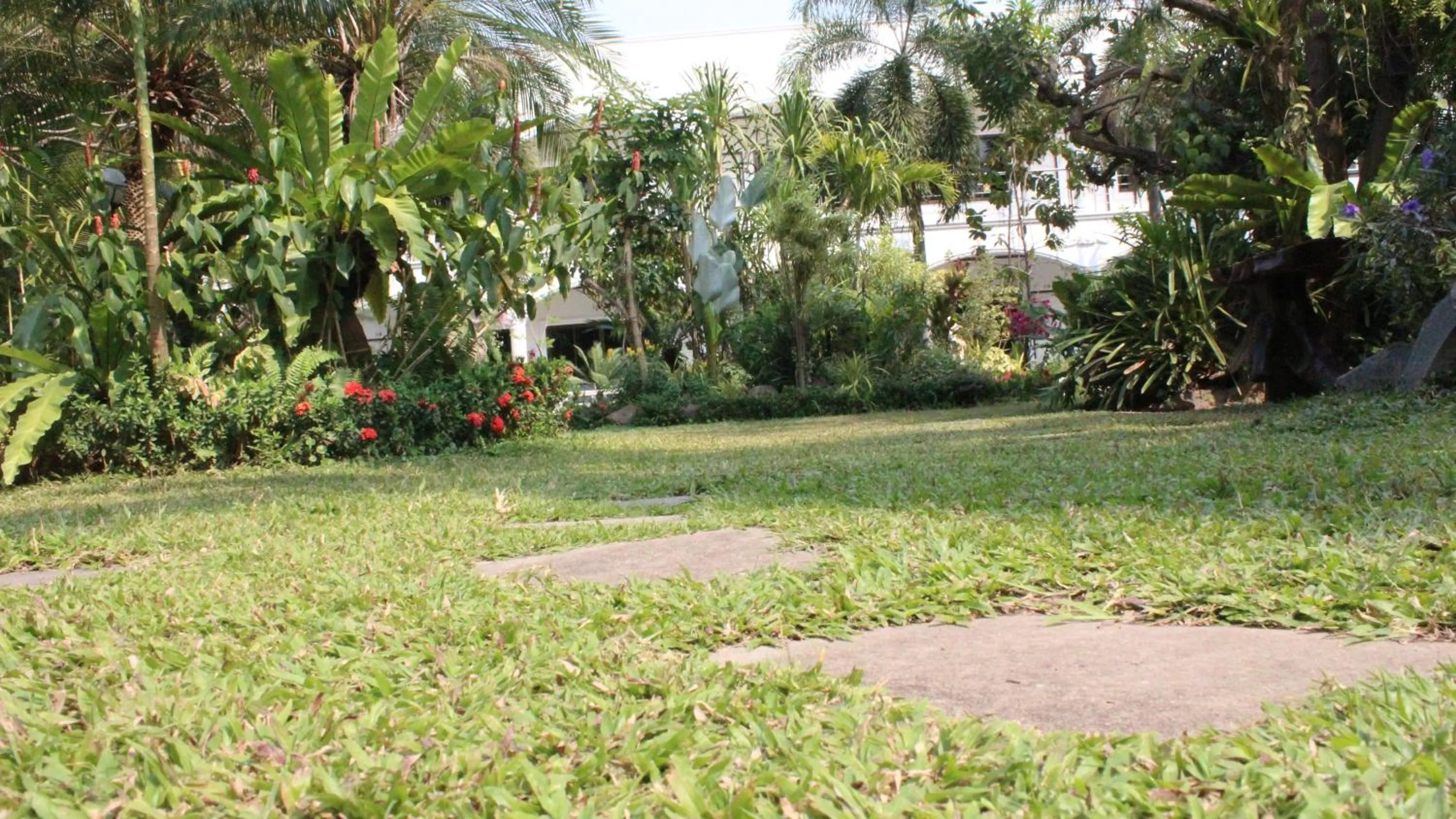 White Elephant Resort