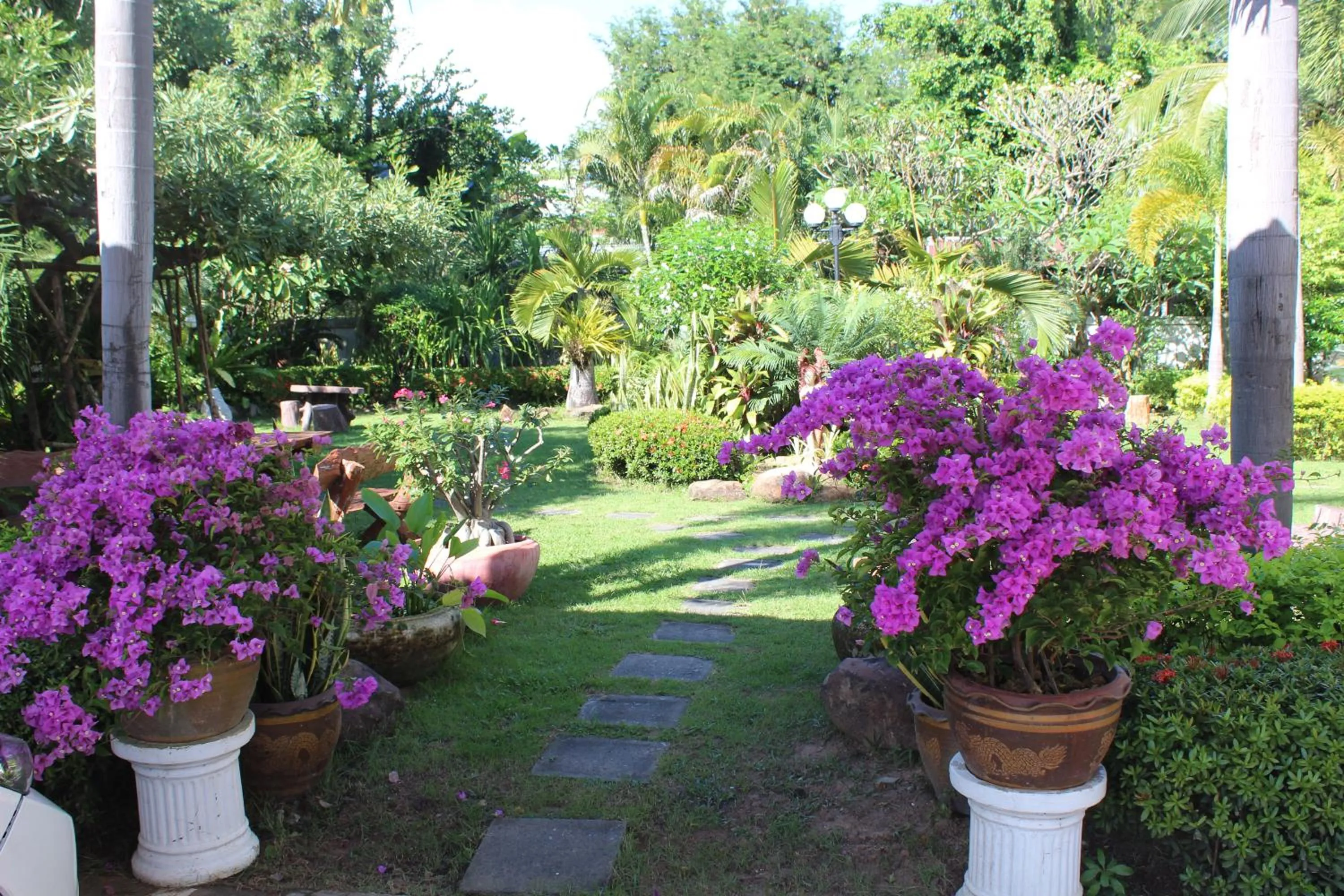 Property building in White Elephant Resort