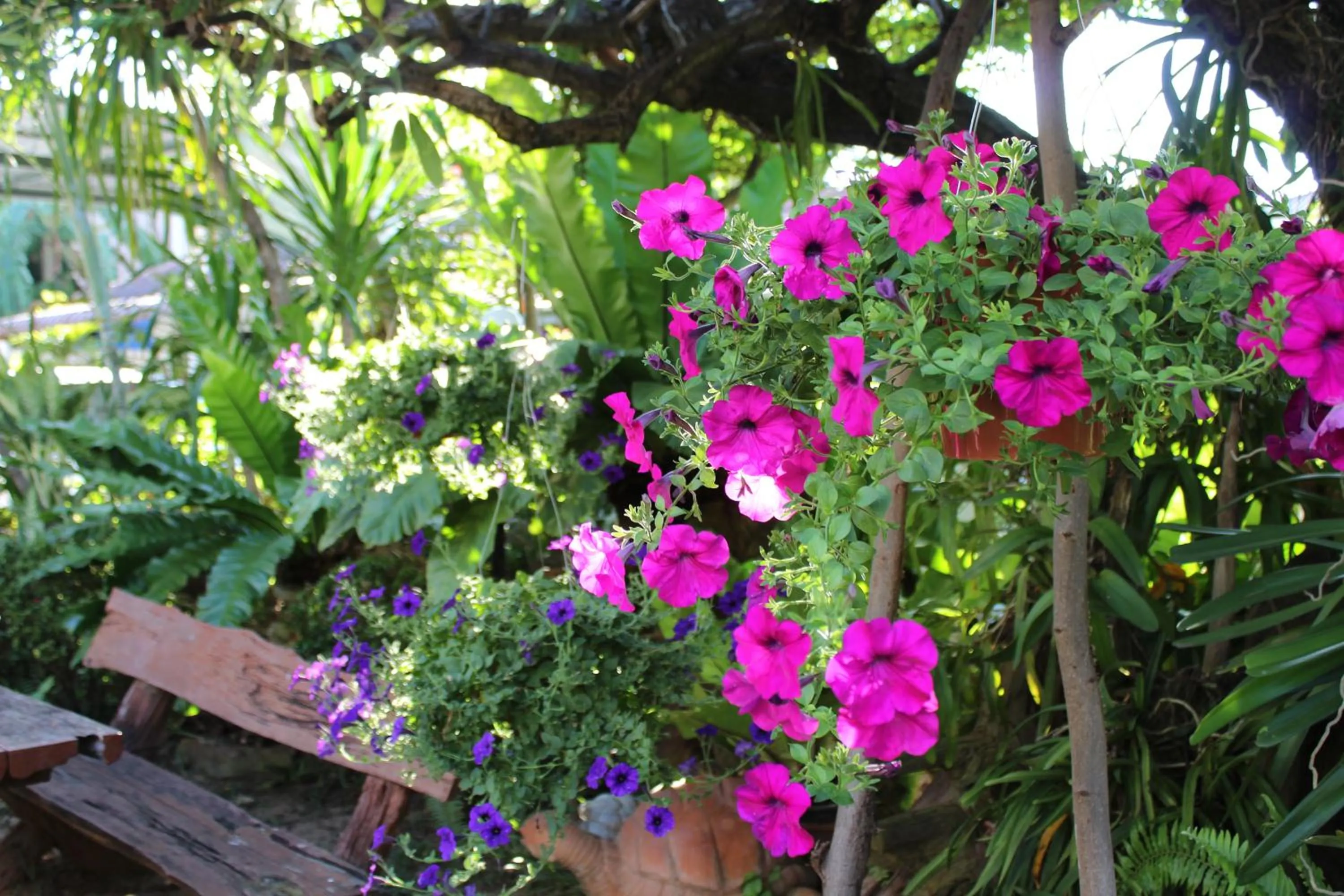 Garden in White Elephant Resort