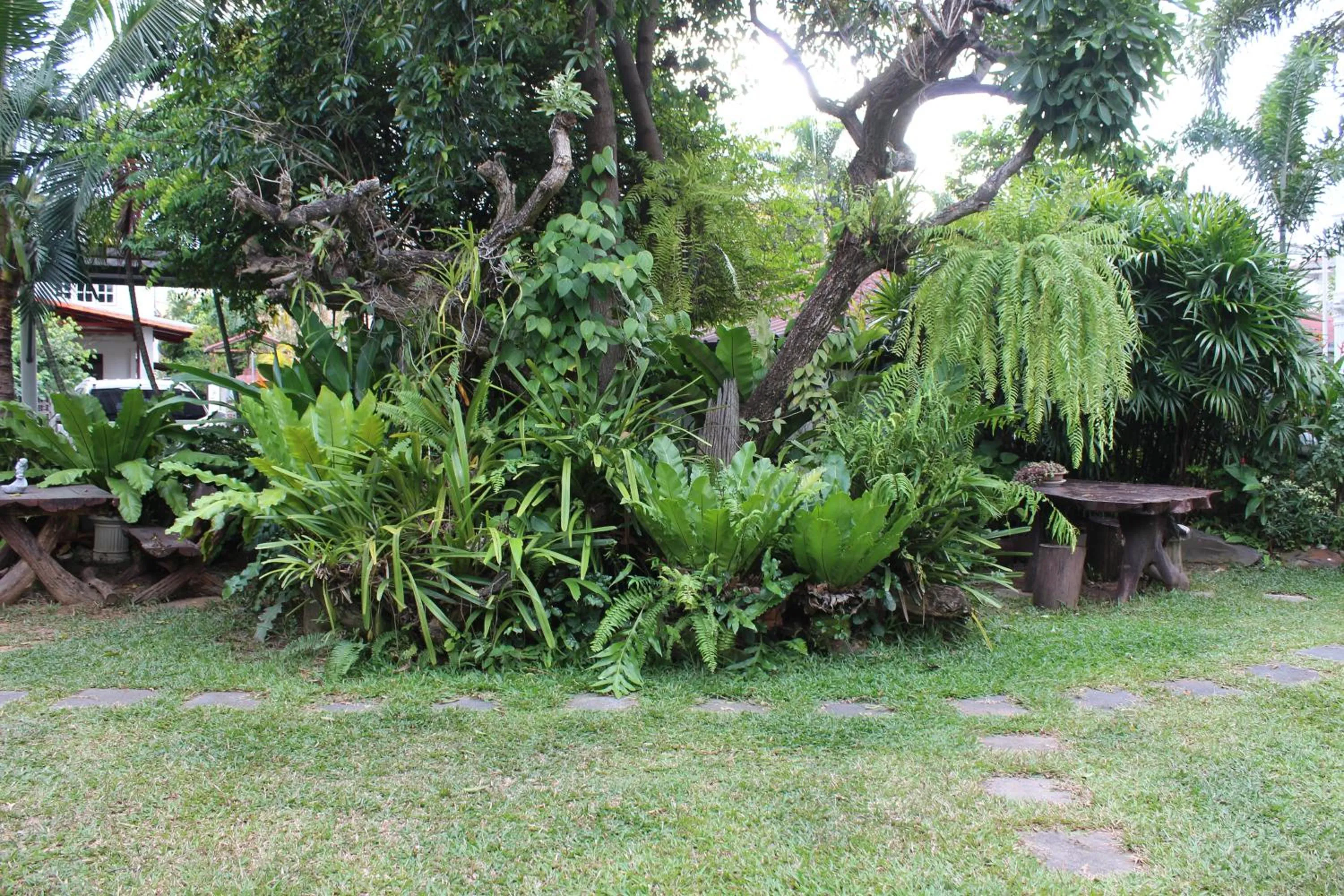 White Elephant Resort