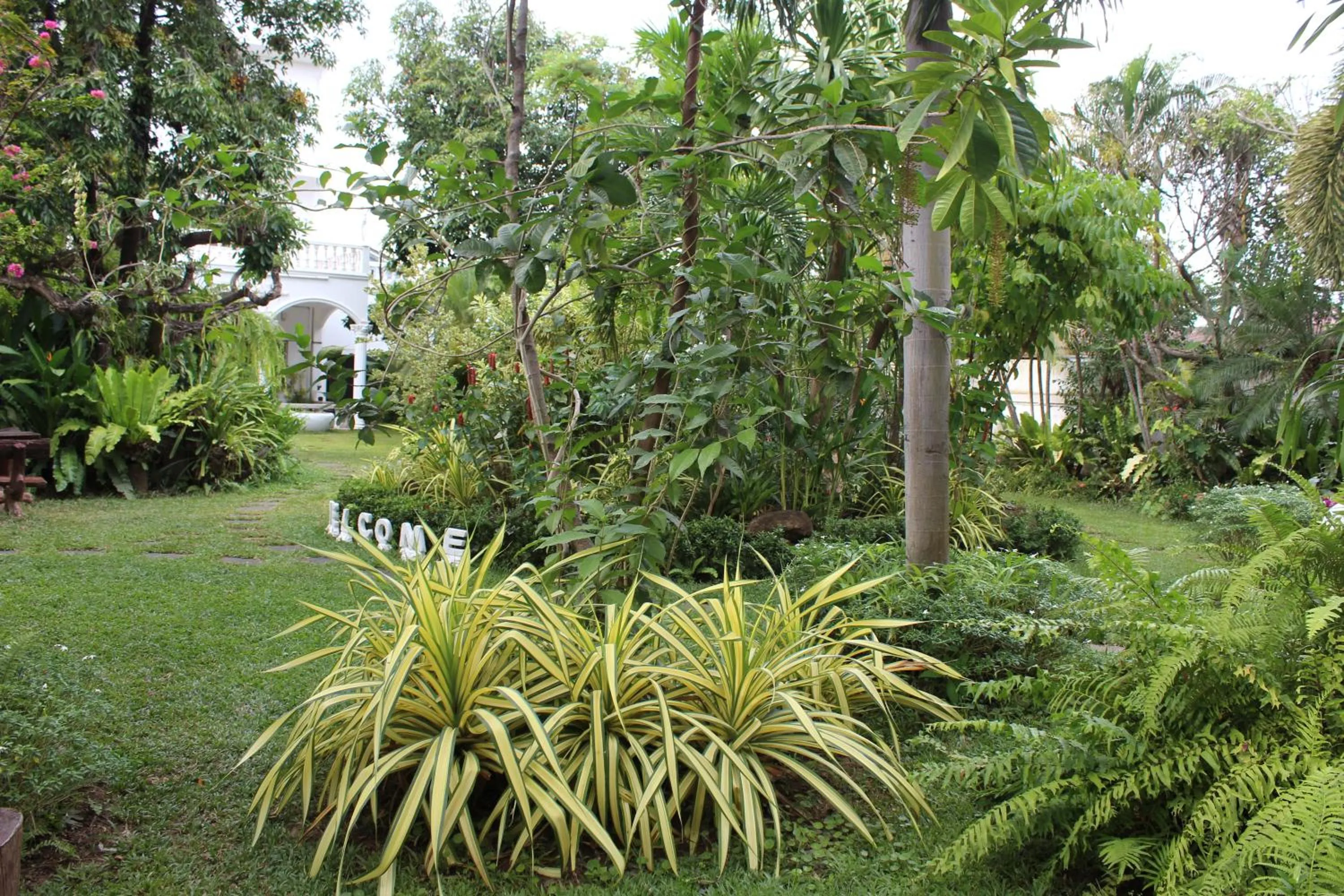 White Elephant Resort