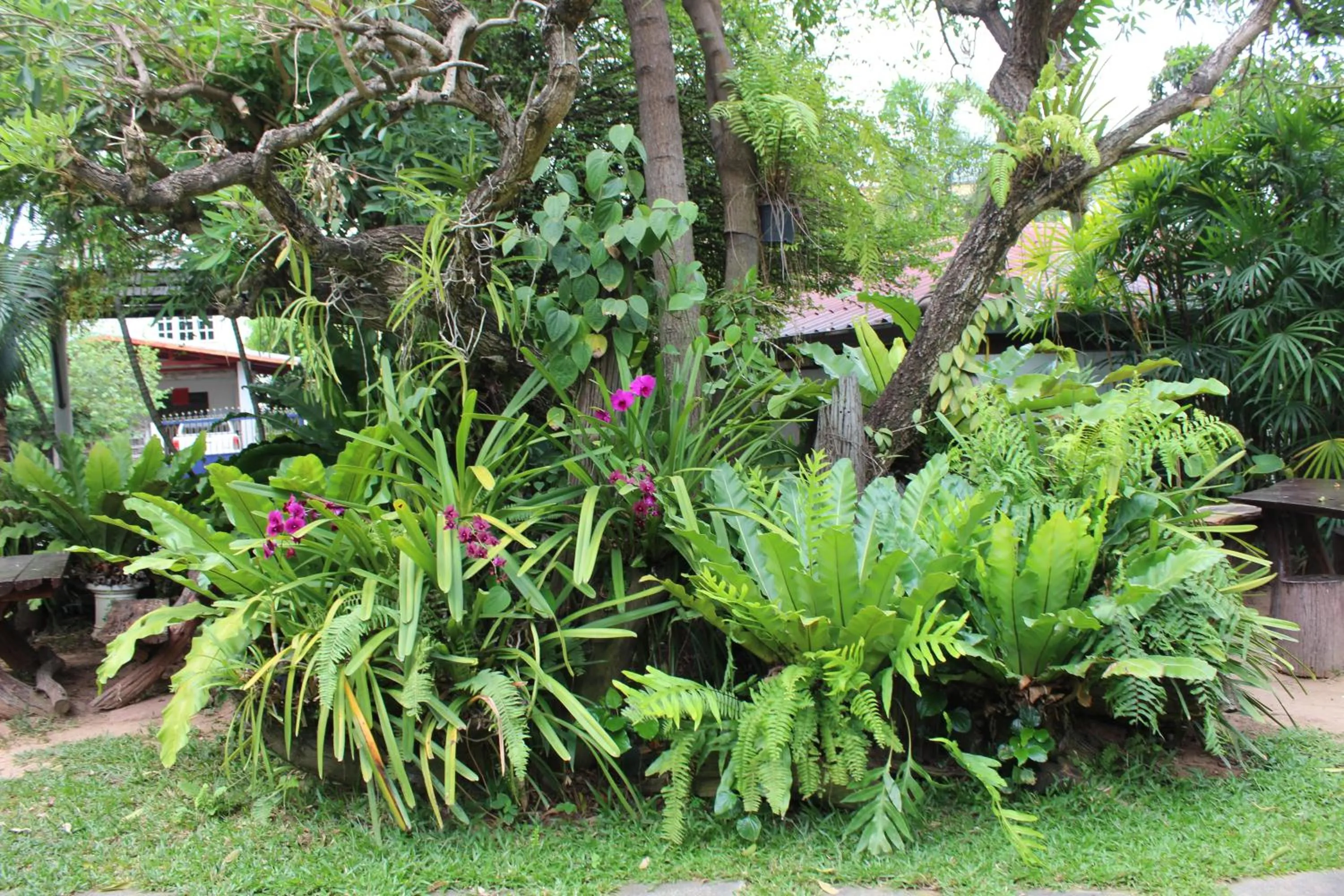 White Elephant Resort