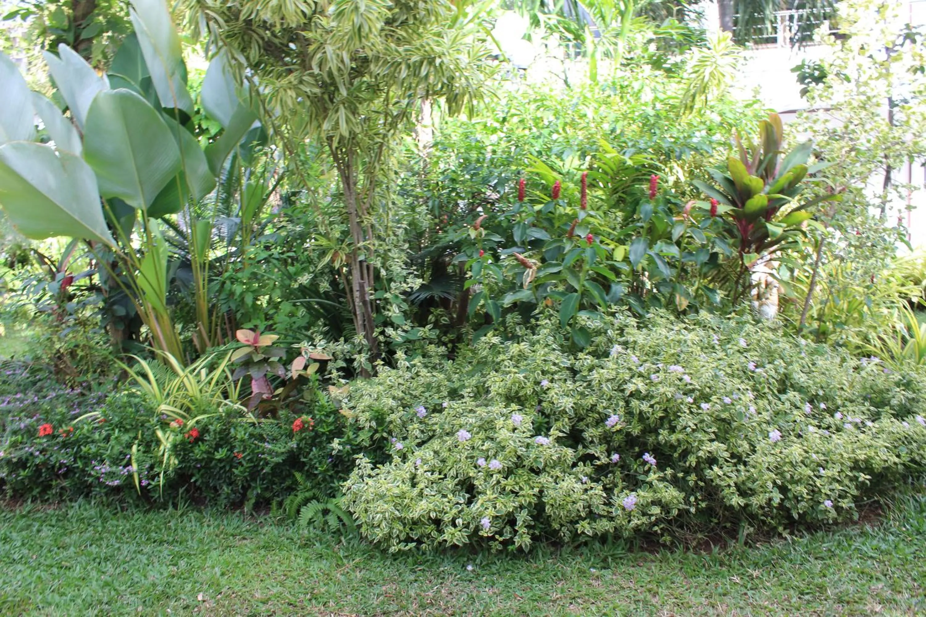 White Elephant Resort