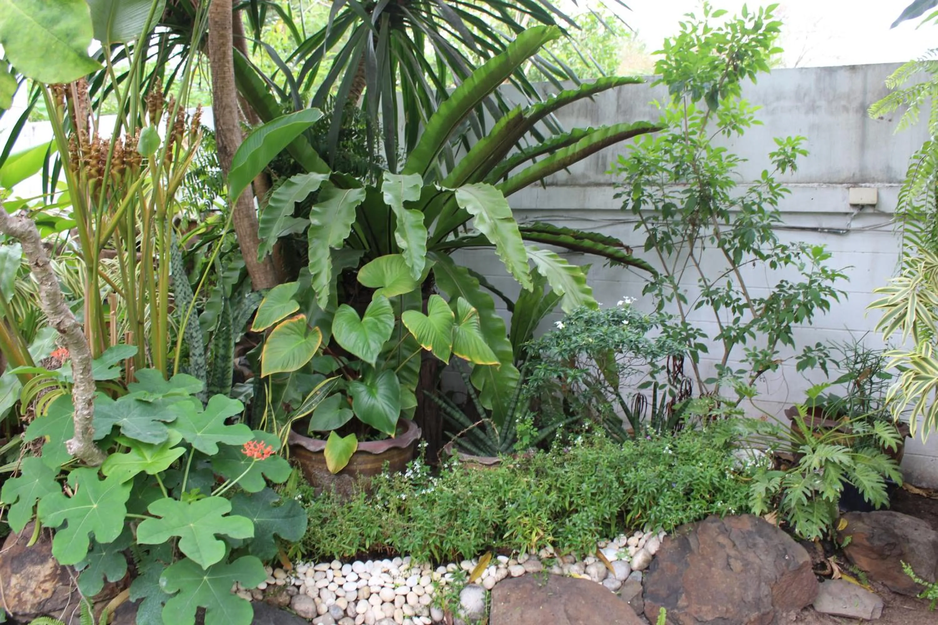 White Elephant Resort