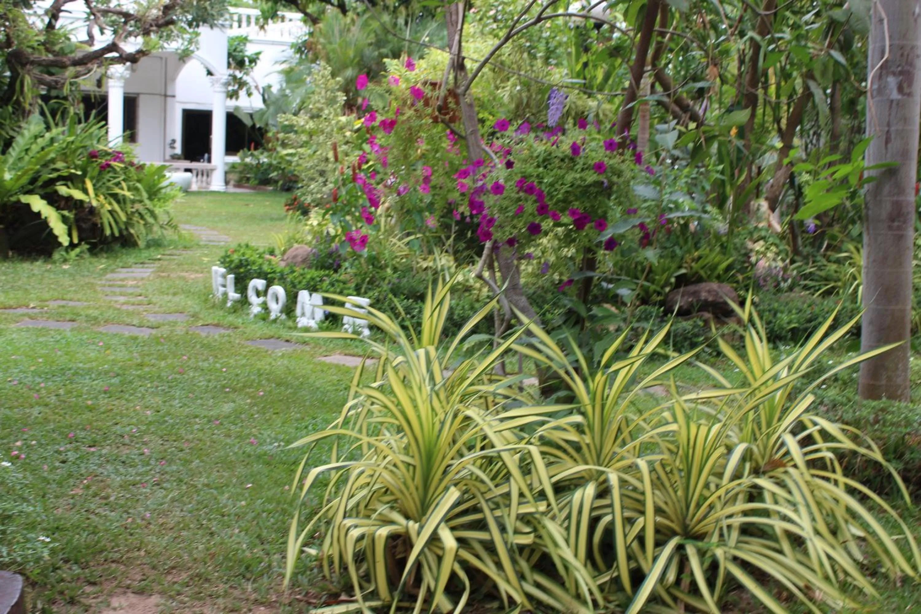 White Elephant Resort