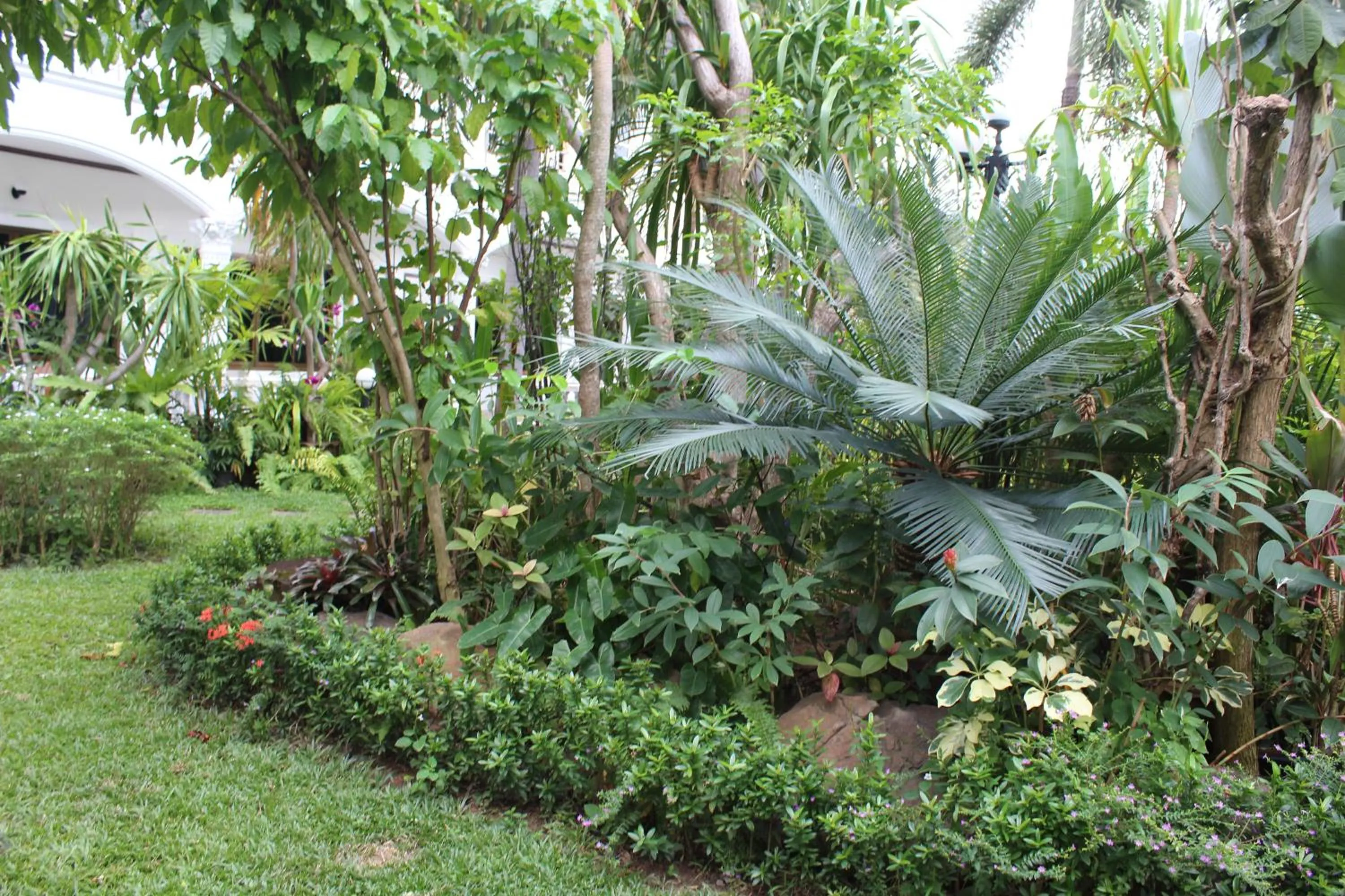 White Elephant Resort