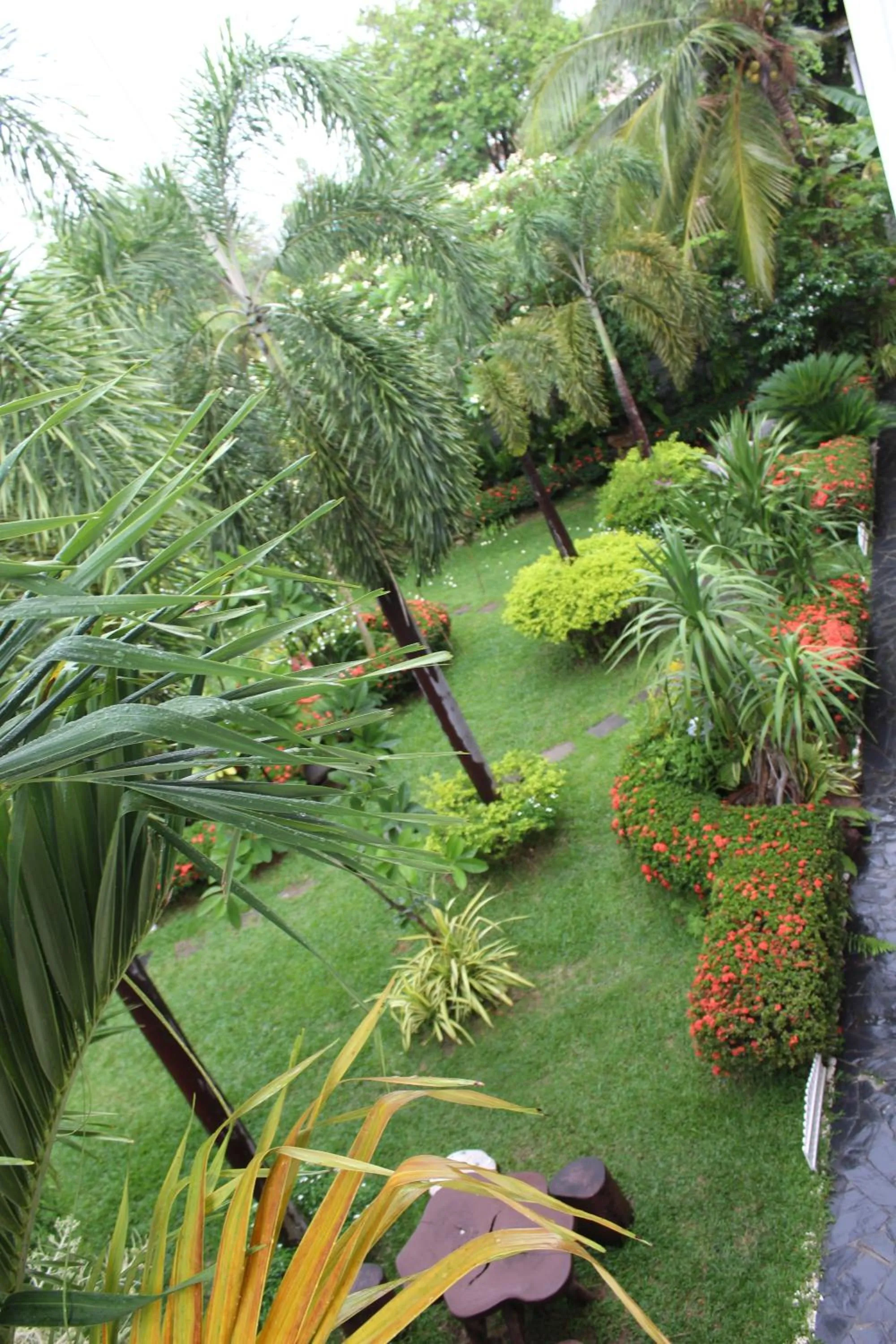 Garden view in White Elephant Resort