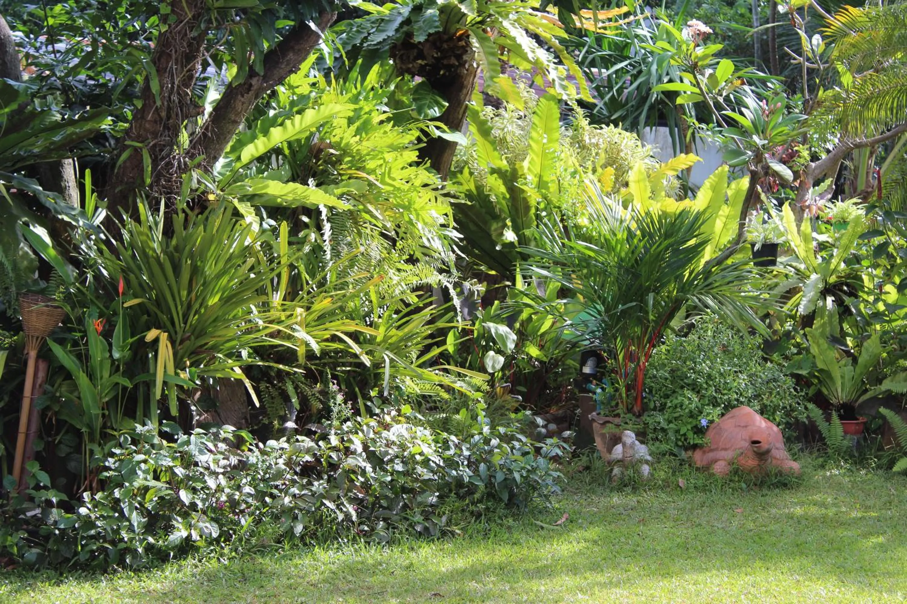 White Elephant Resort