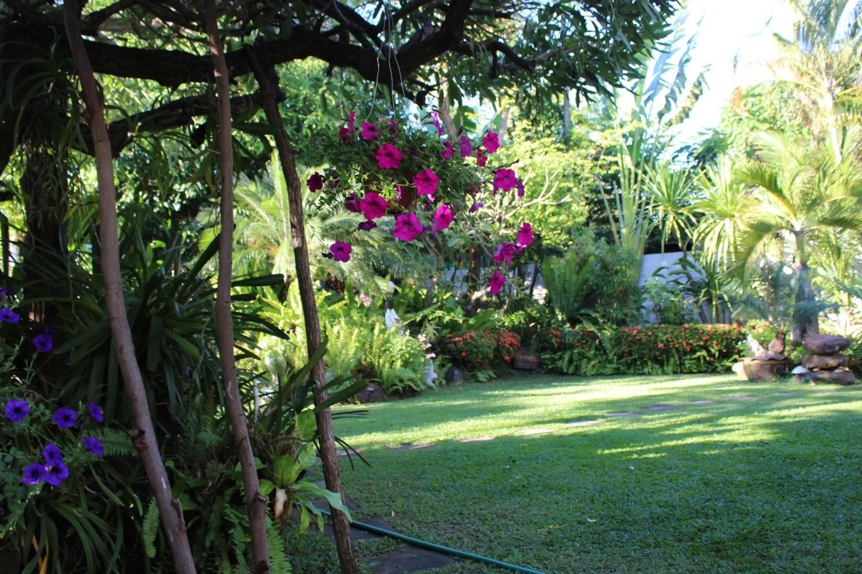 Garden in White Elephant Resort