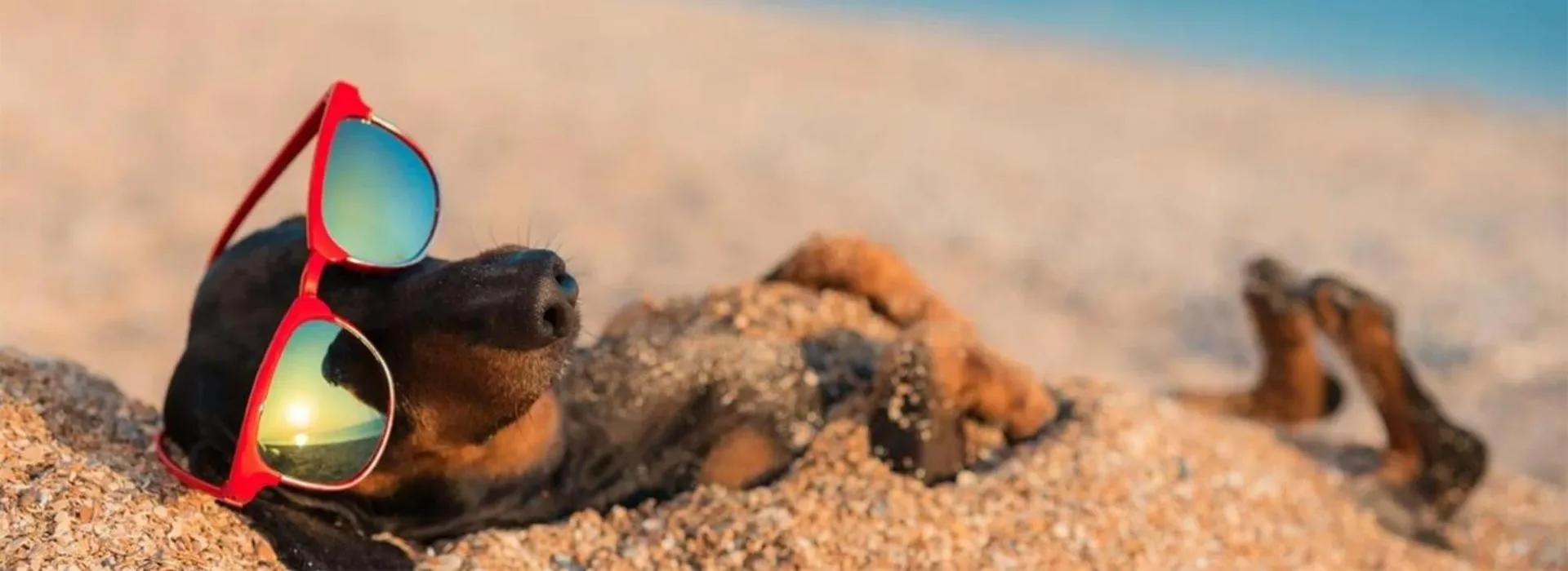 Bar Harbor On The Oceanfront
