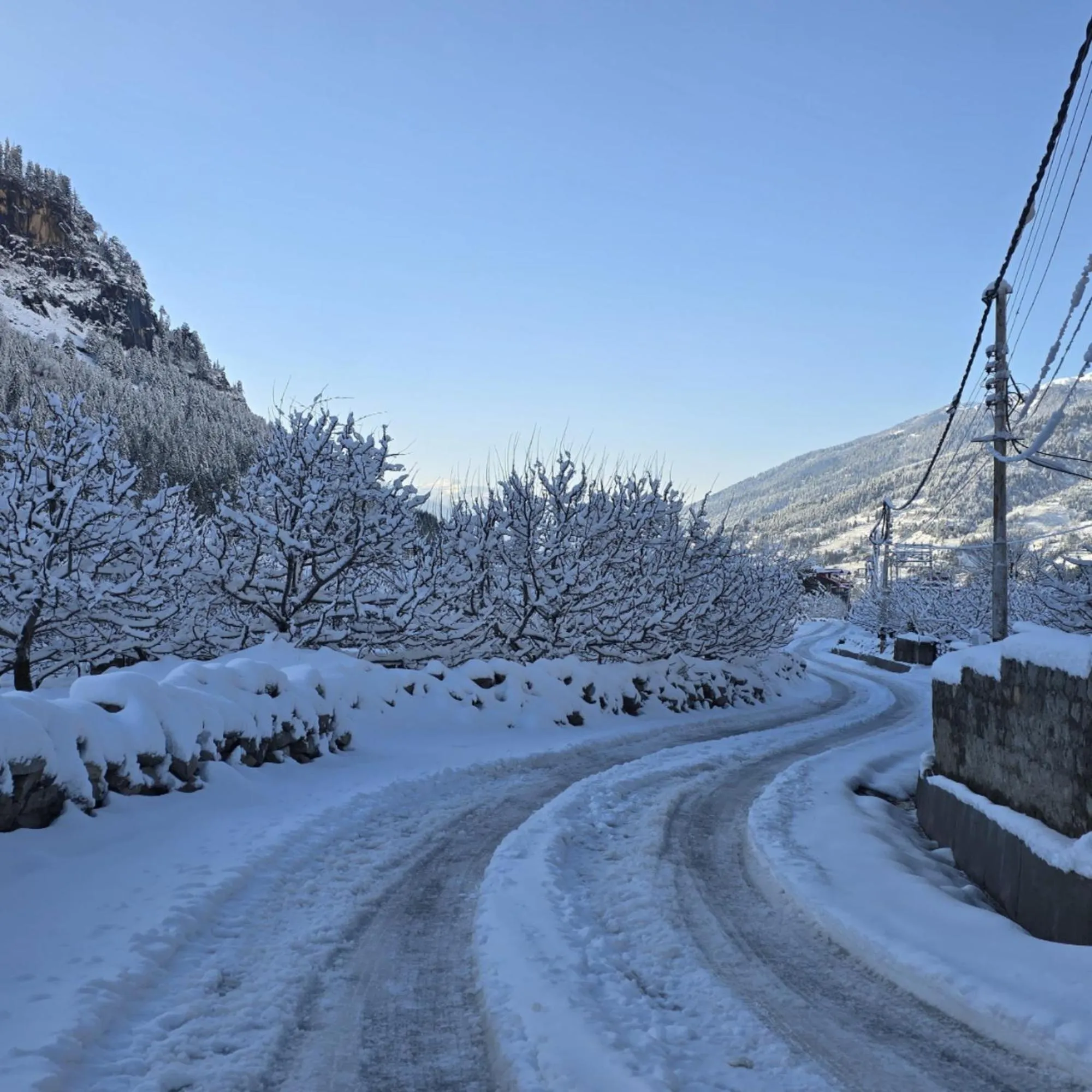 Natural landscape in MB Igloo Resort
