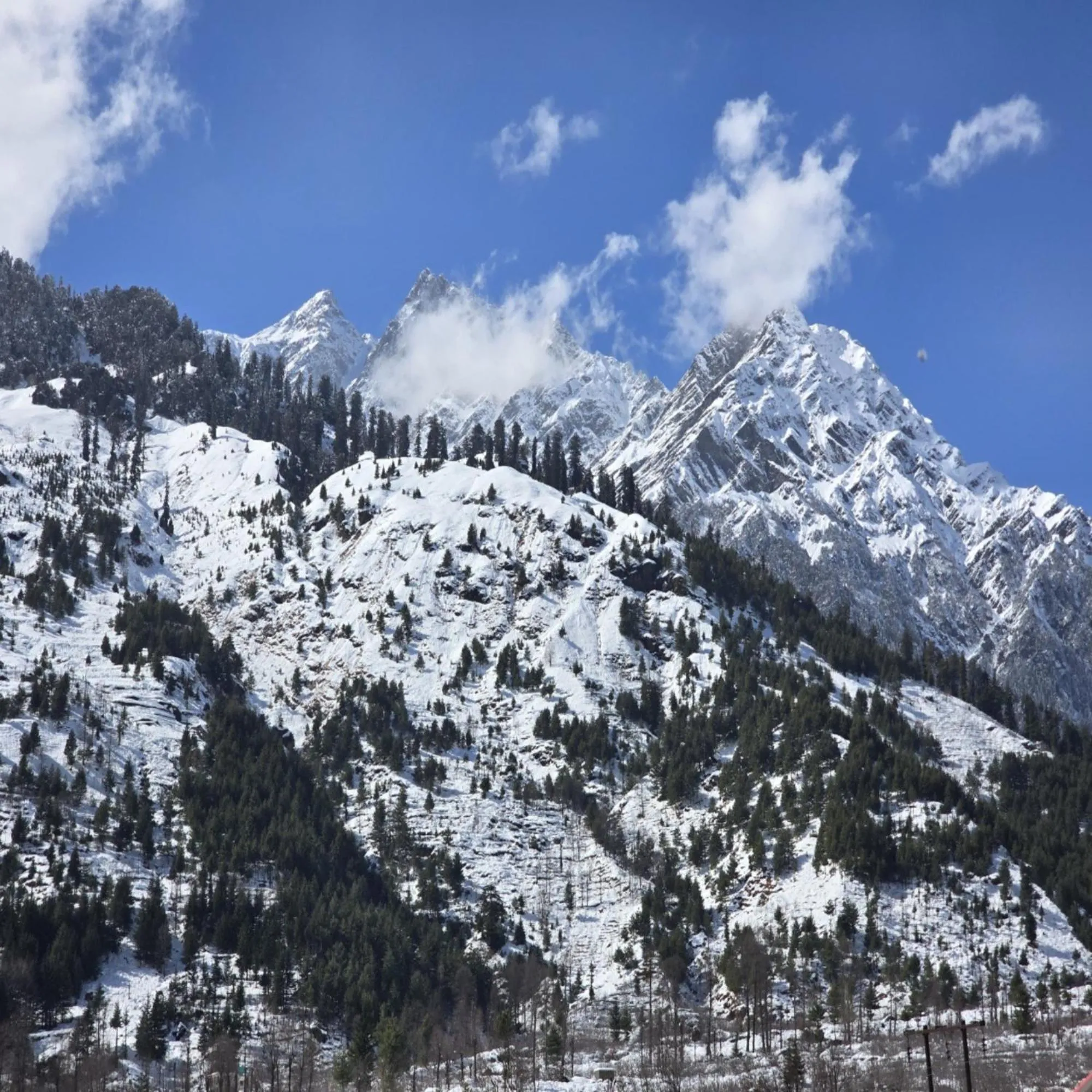 Natural landscape in MB Igloo Resort