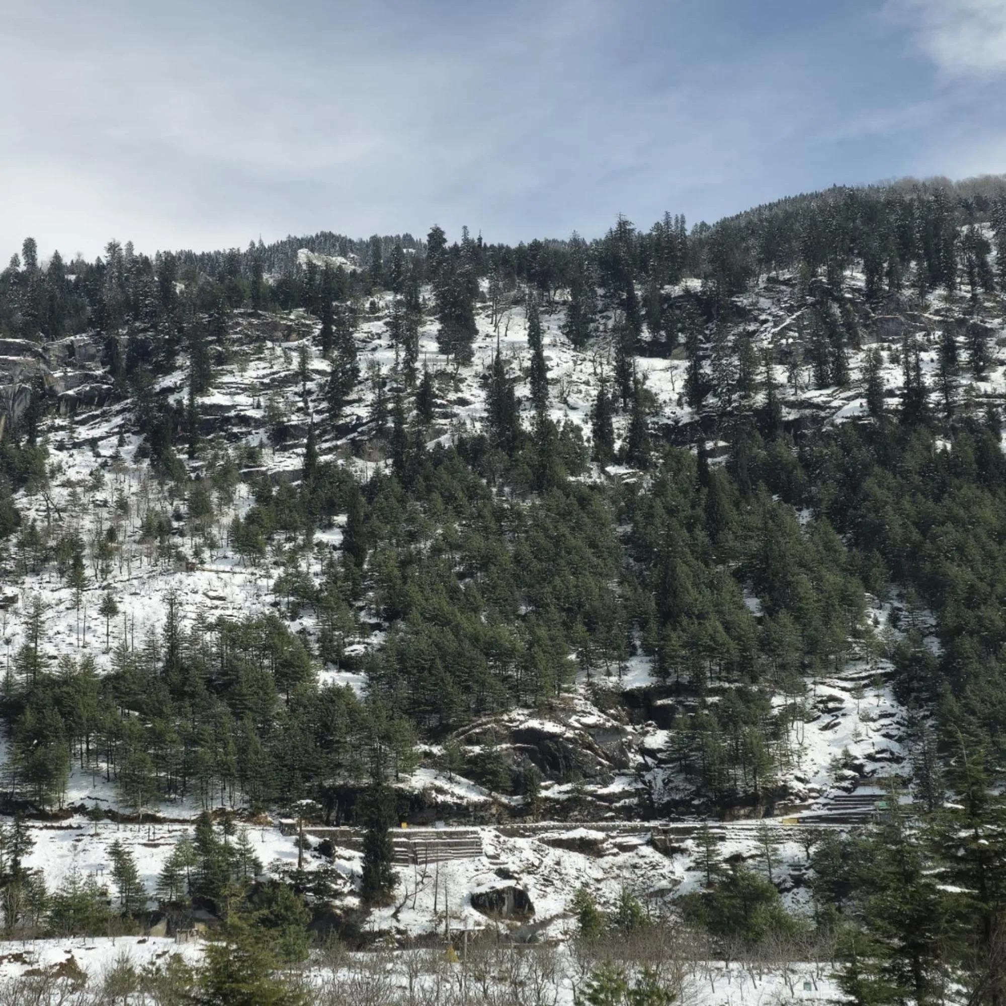 Natural landscape in MB Igloo Resort