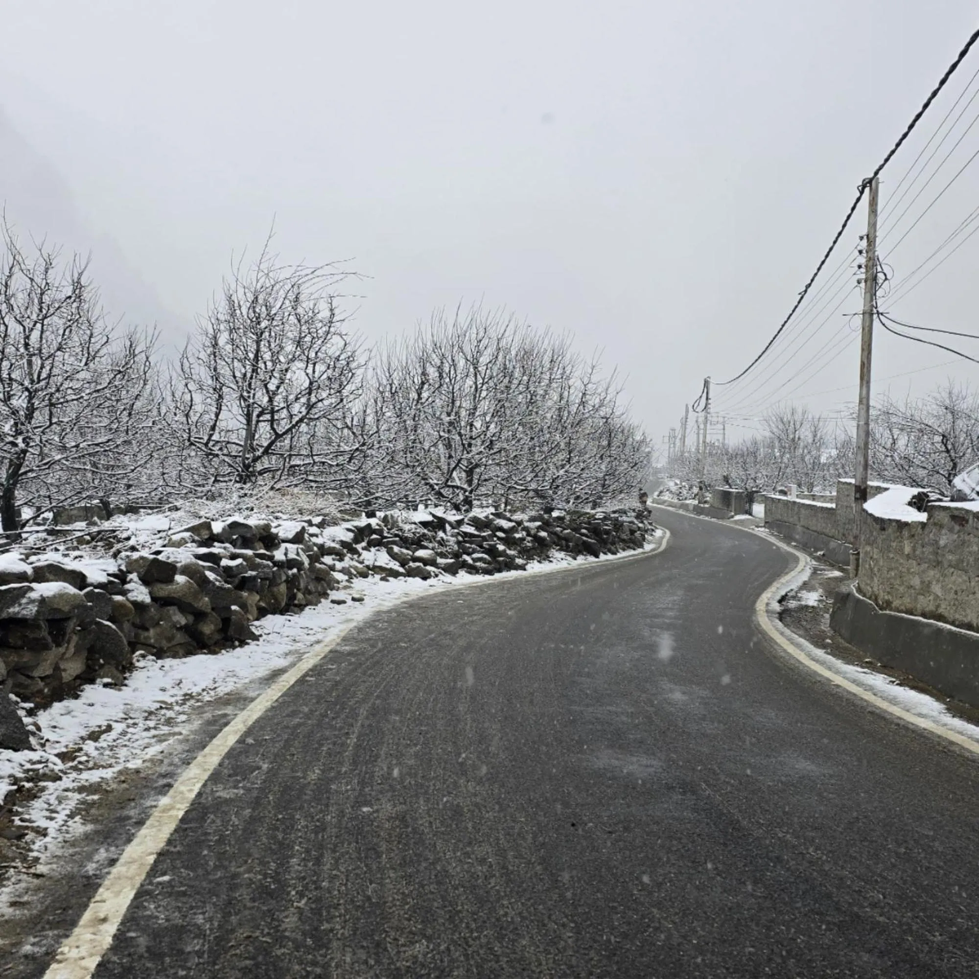 Neighbourhood in MB Igloo Resort