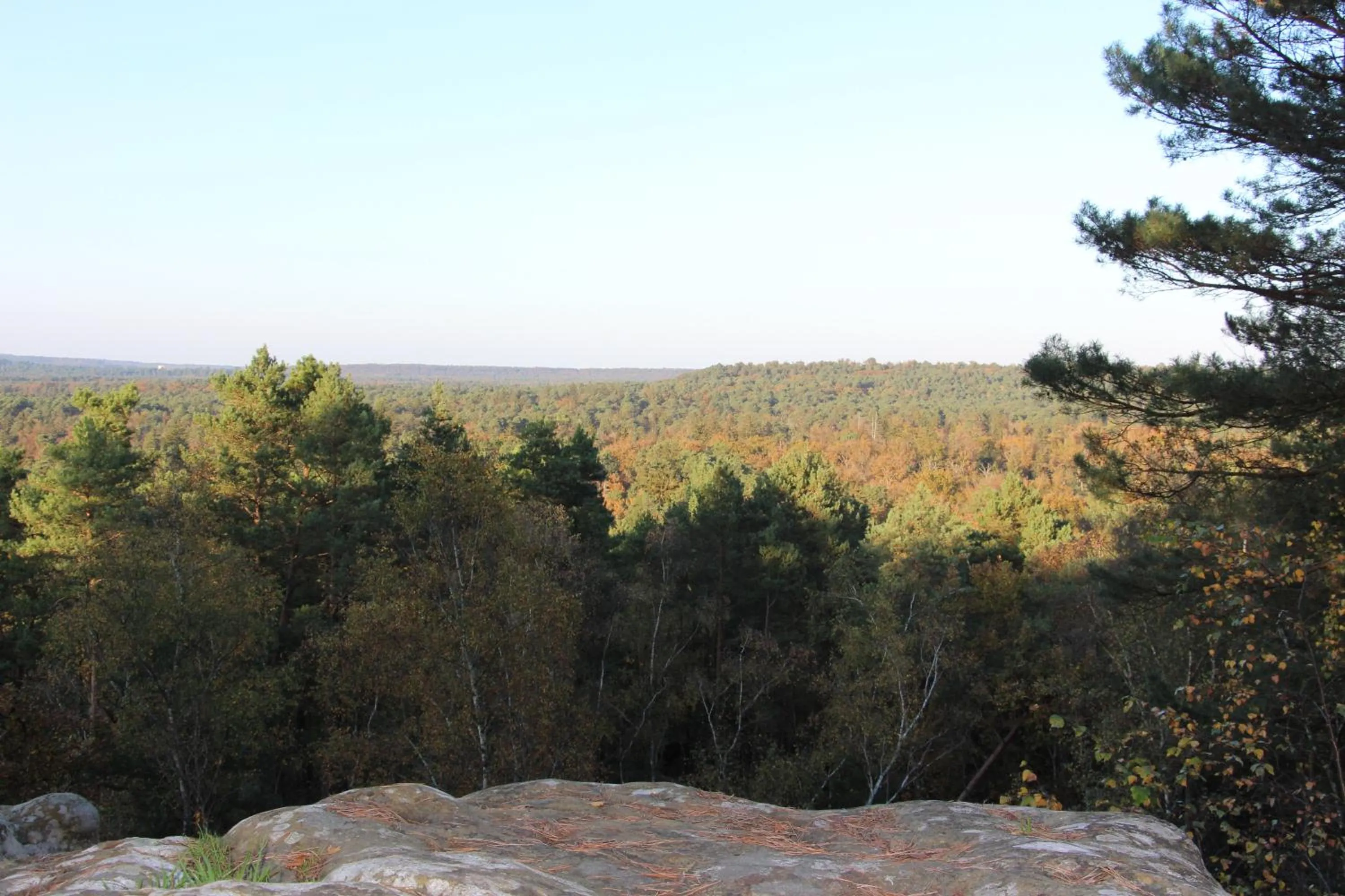 Natural landscape in L'Alisier Chantant