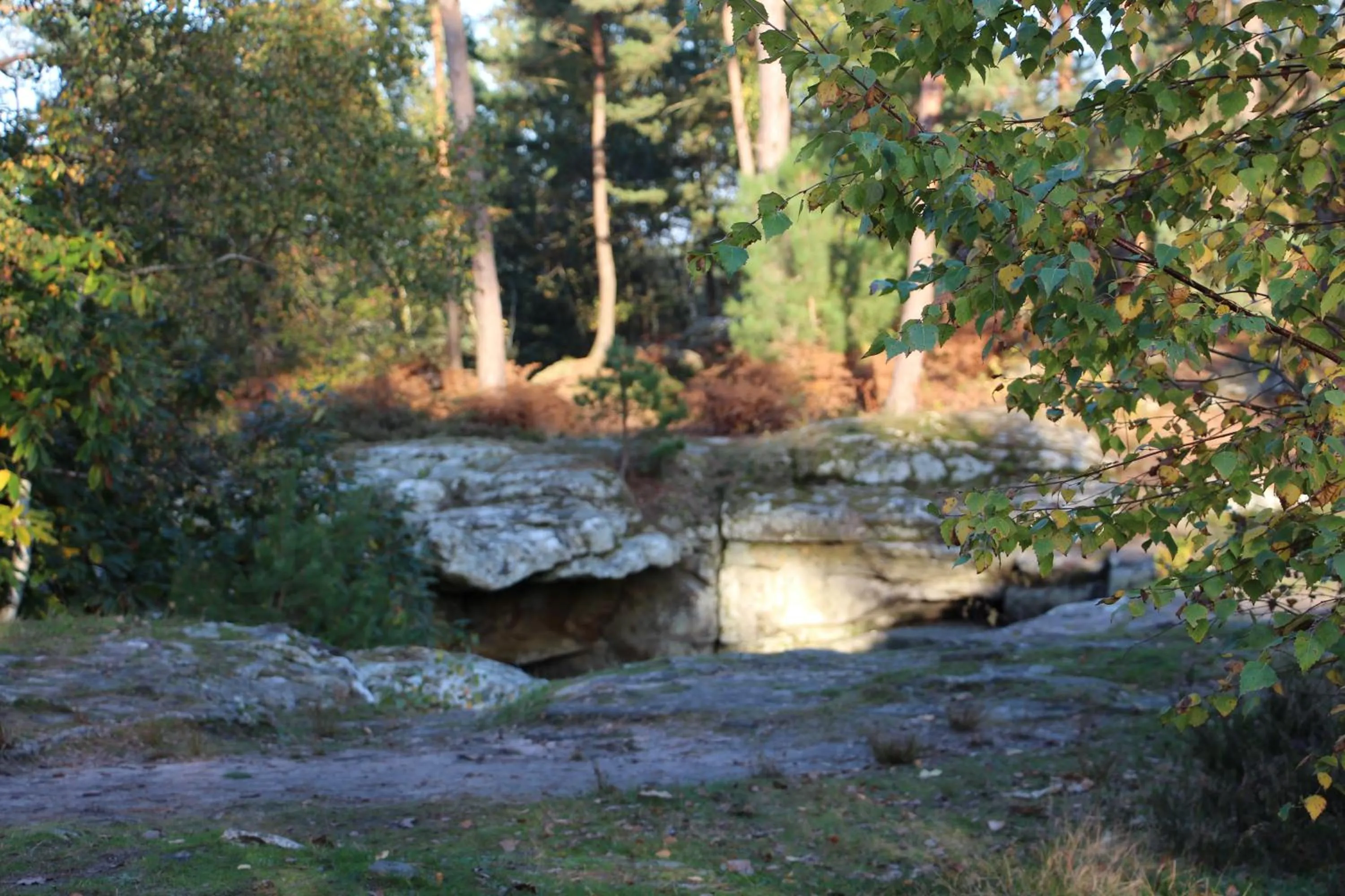 Day in L'Alisier Chantant