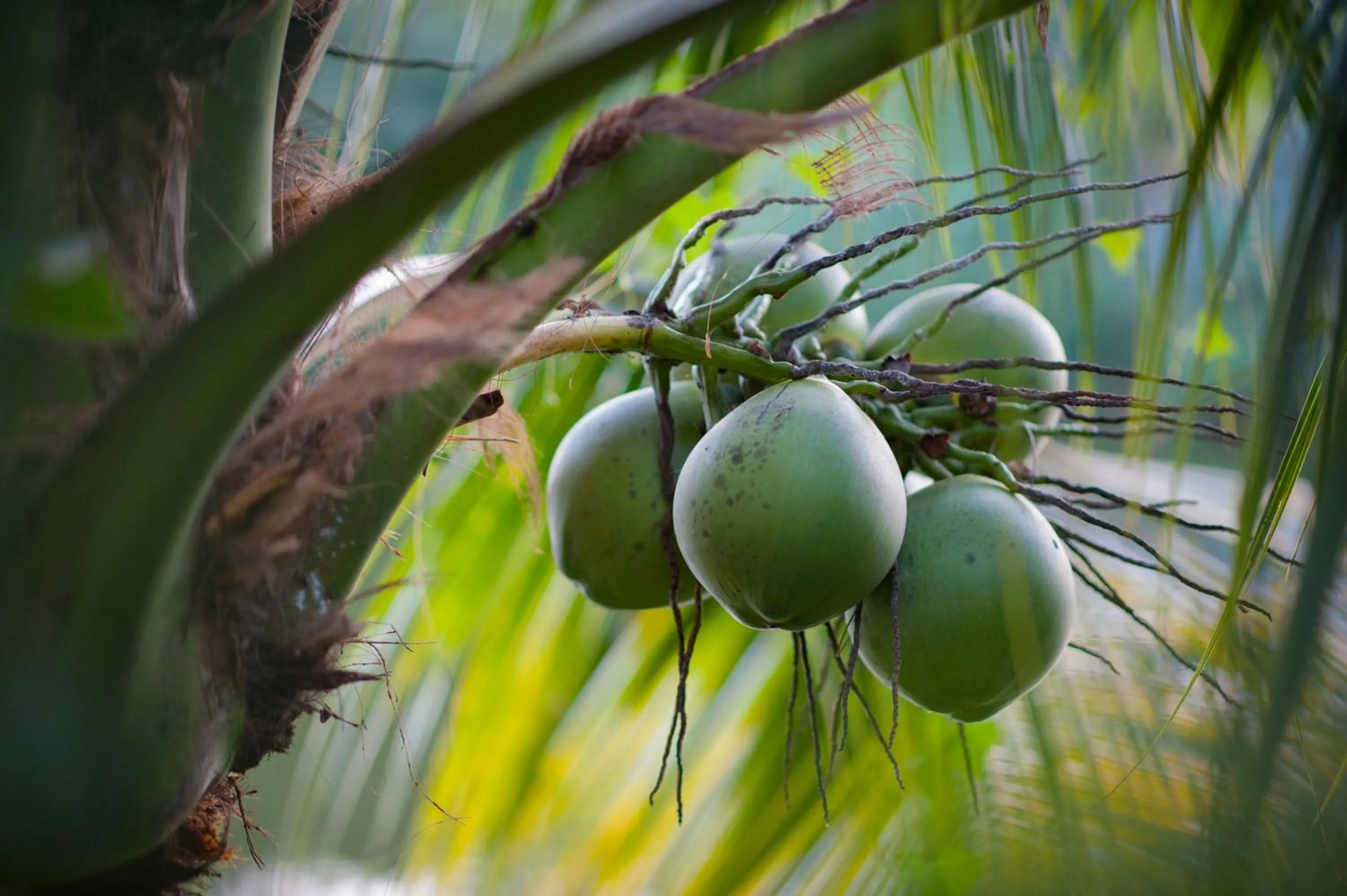 Decorative detail in Luna Villa