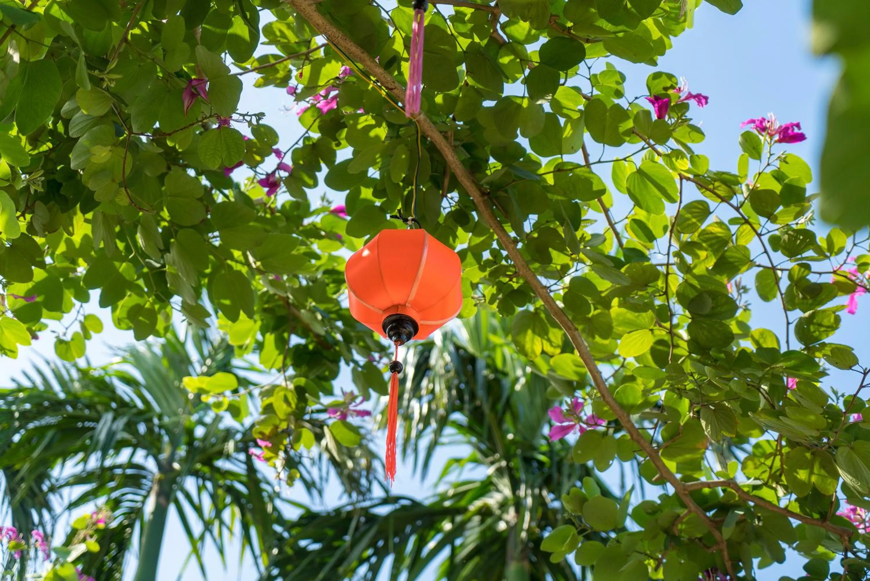 Garden in Luna Villa