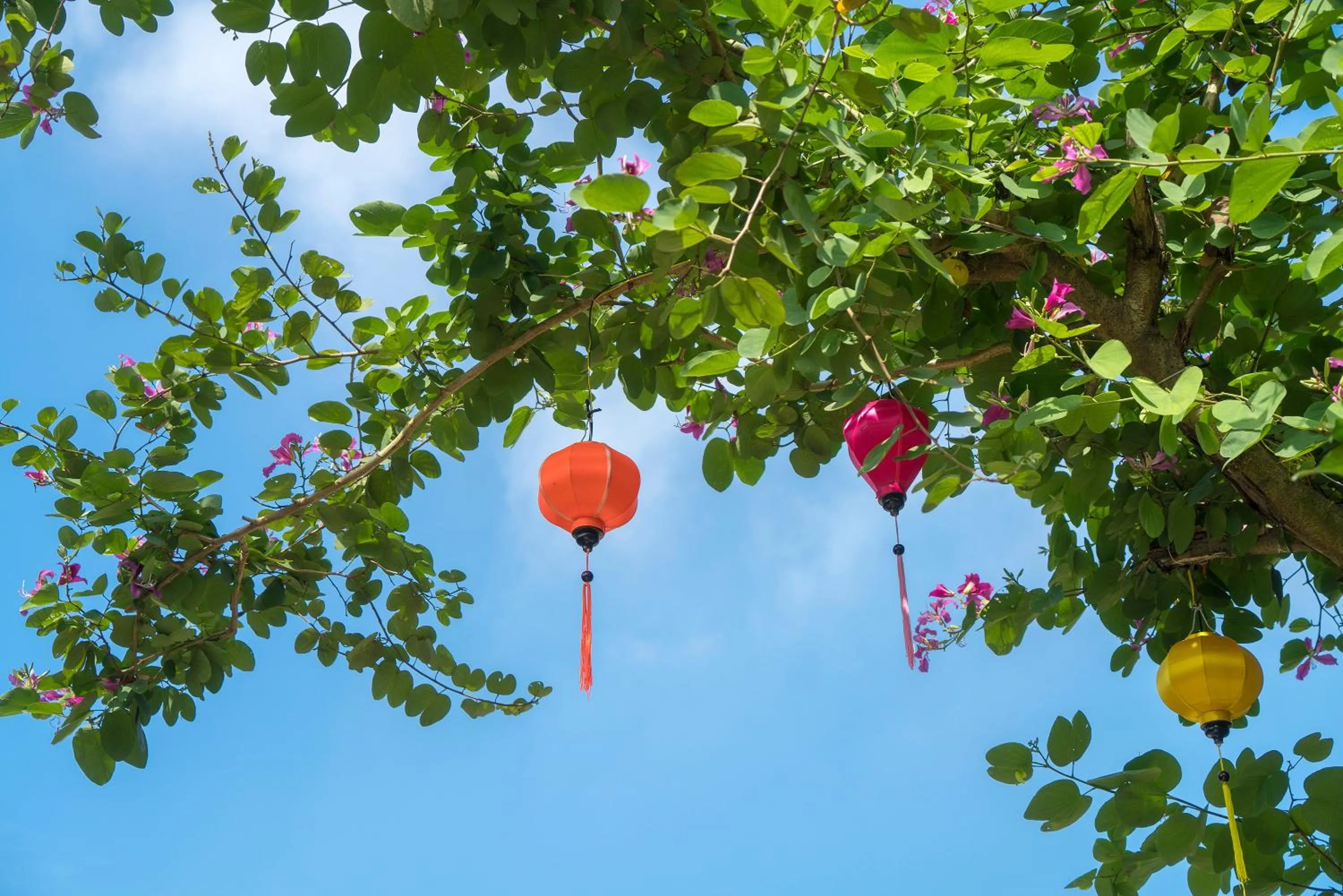 Decorative detail in Luna Villa