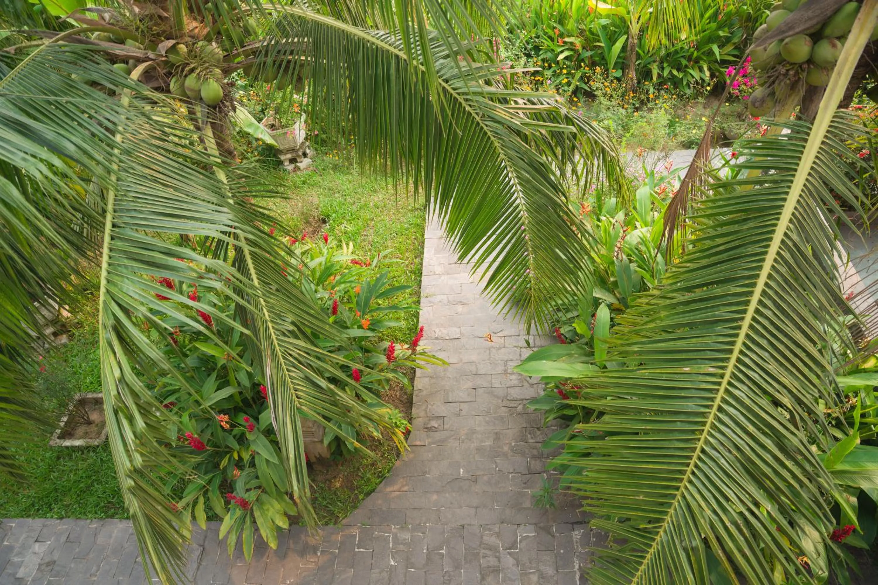 Garden view, Garden in Luna Villa