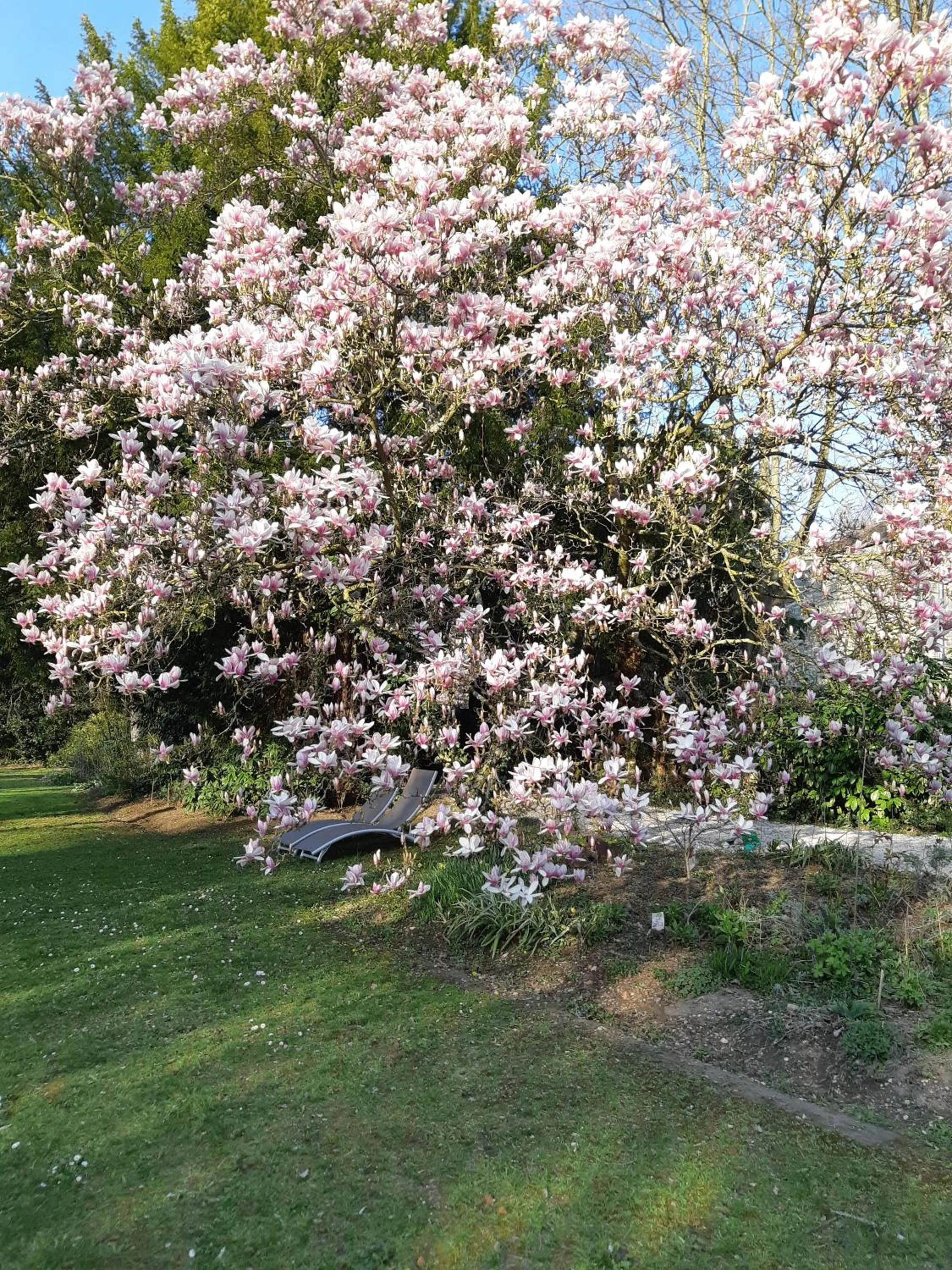 Property building, Garden in La Maison Dans le Parc