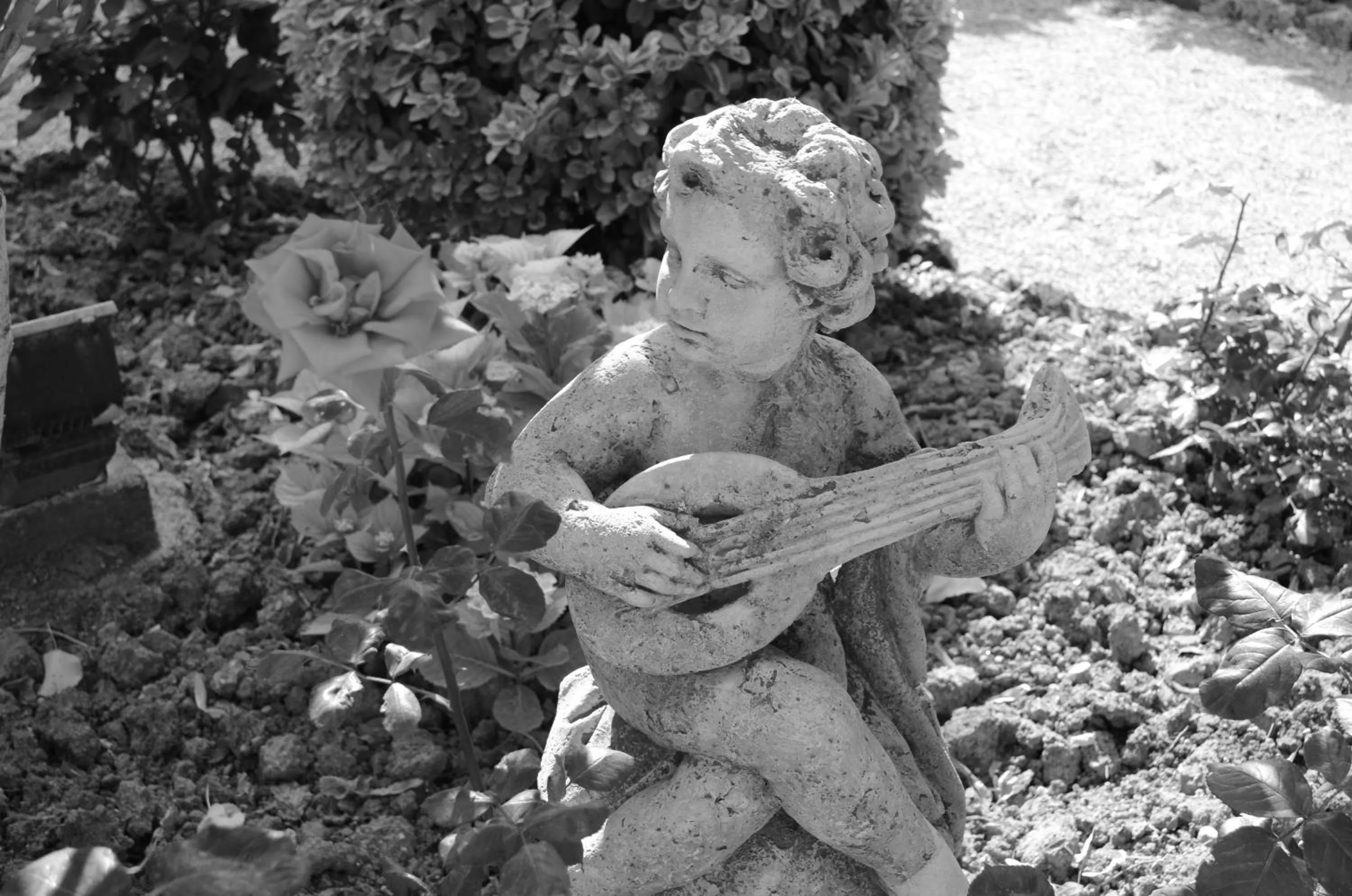 Il Casale Del Cotone