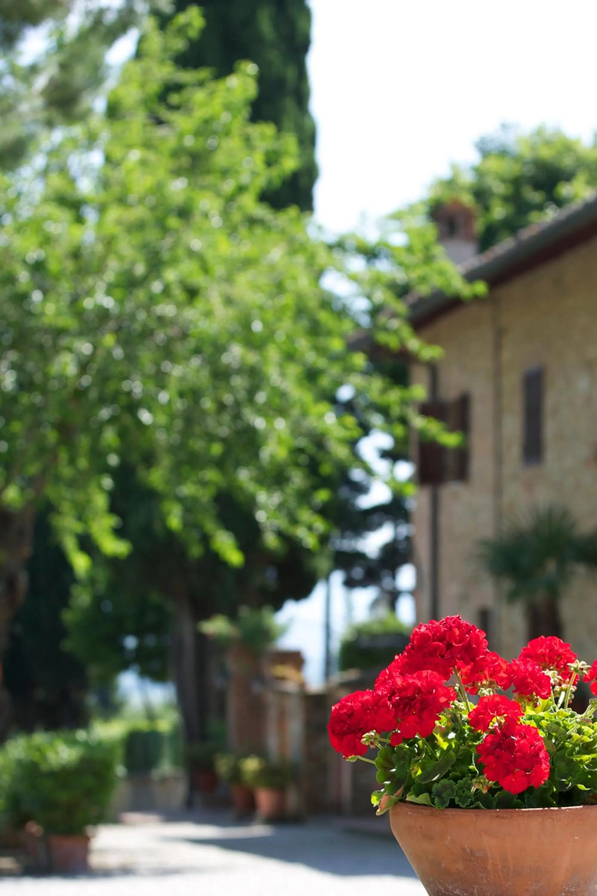 Property building in Il Casale Del Cotone