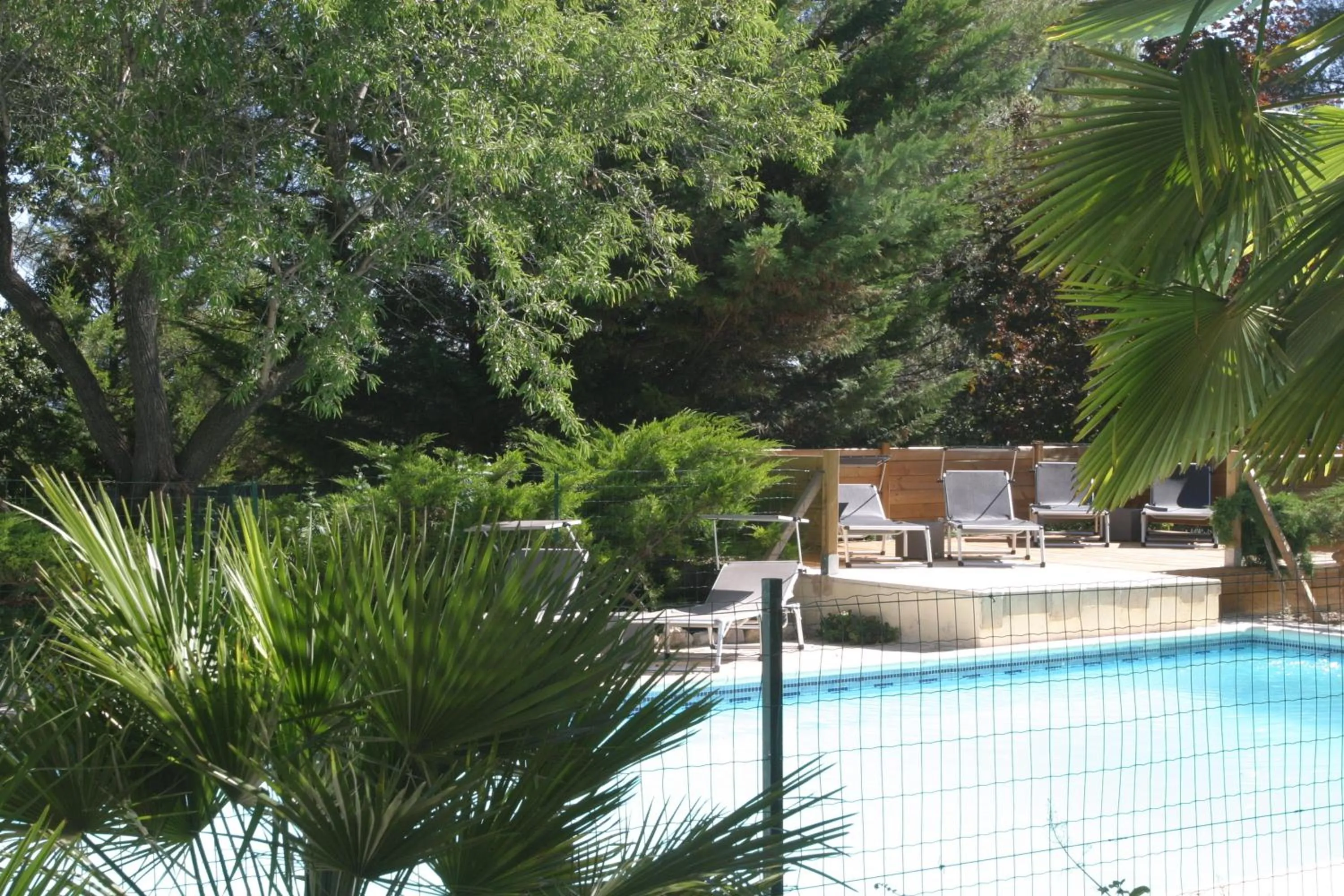 Swimming pool in Le Laou