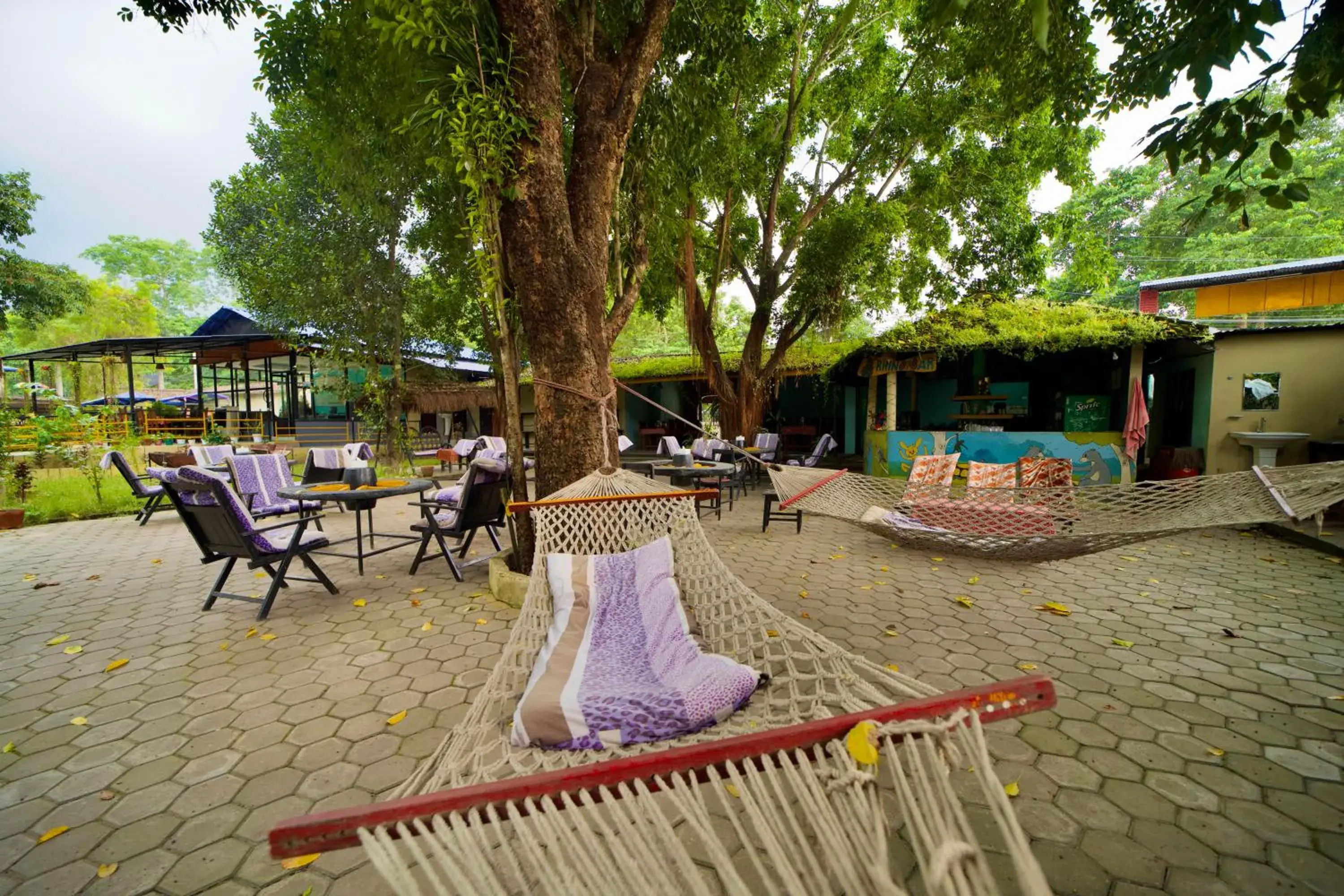 Chitwan Gaida Lodge - Animal Lovers & Birdwatchers Paradise Chitwan Gaida Lodge - Animal Lovers & Birdwatchers Paradise