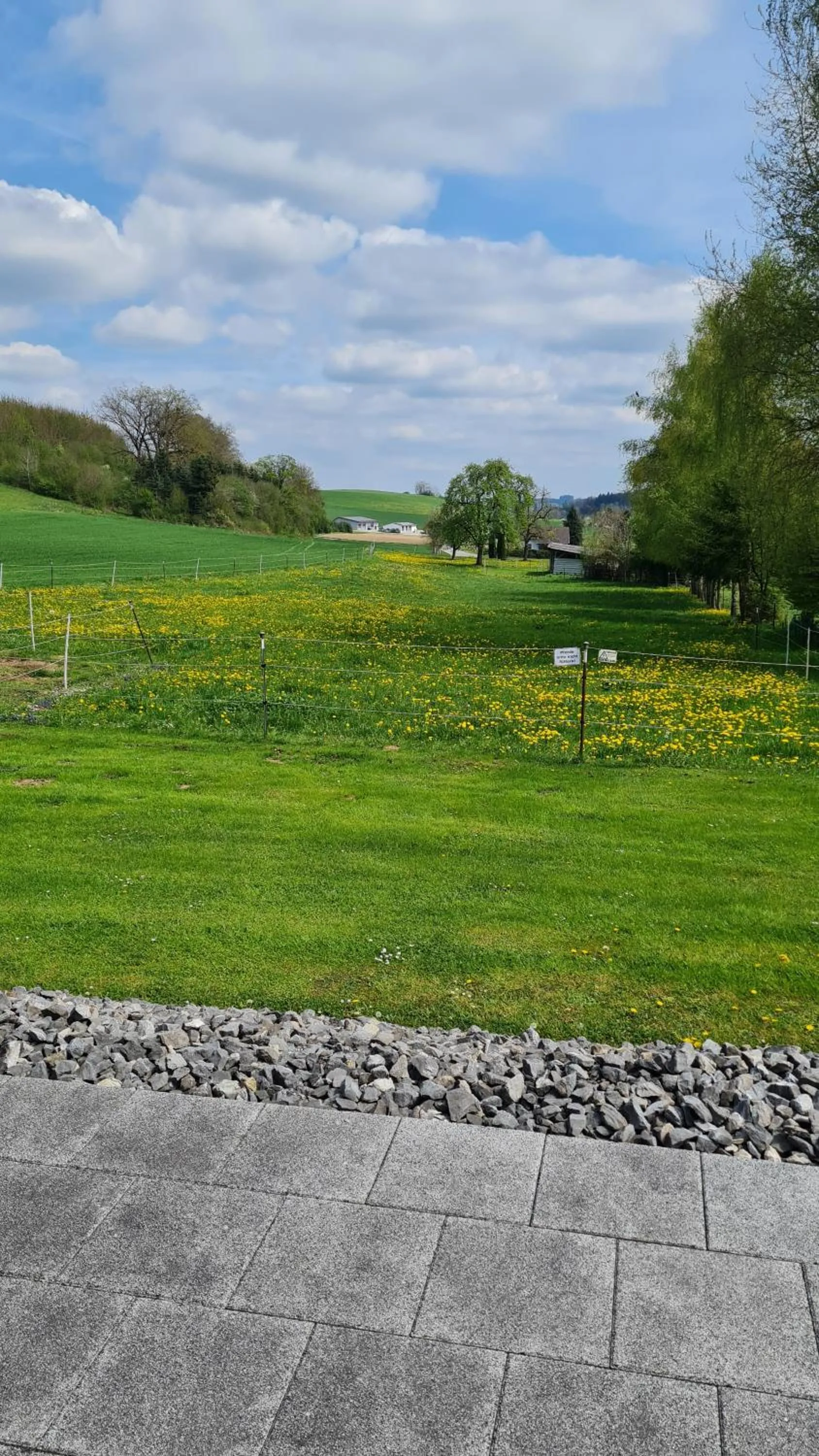 Natural landscape in Ferienwohnung am Weinberg