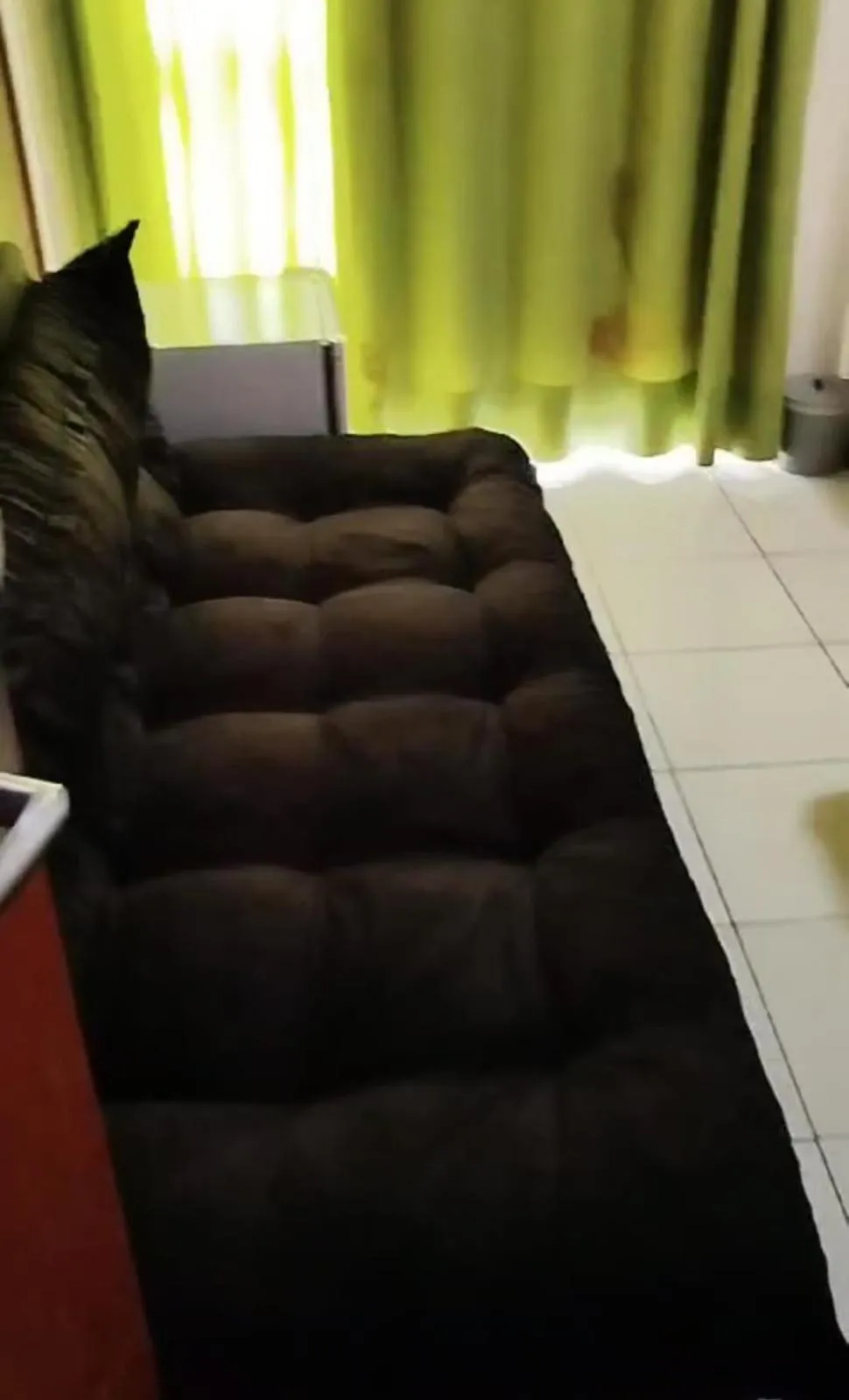 Golden Dolphin Grand Hotel