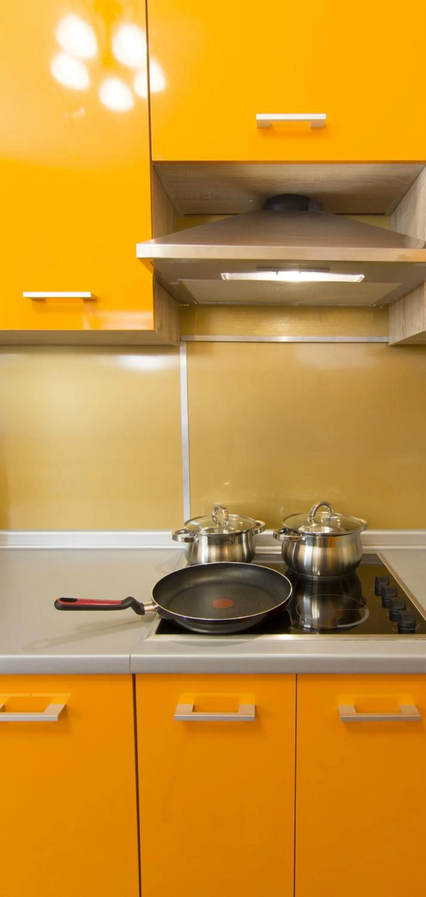 Communal kitchen in Valdemara Residence
